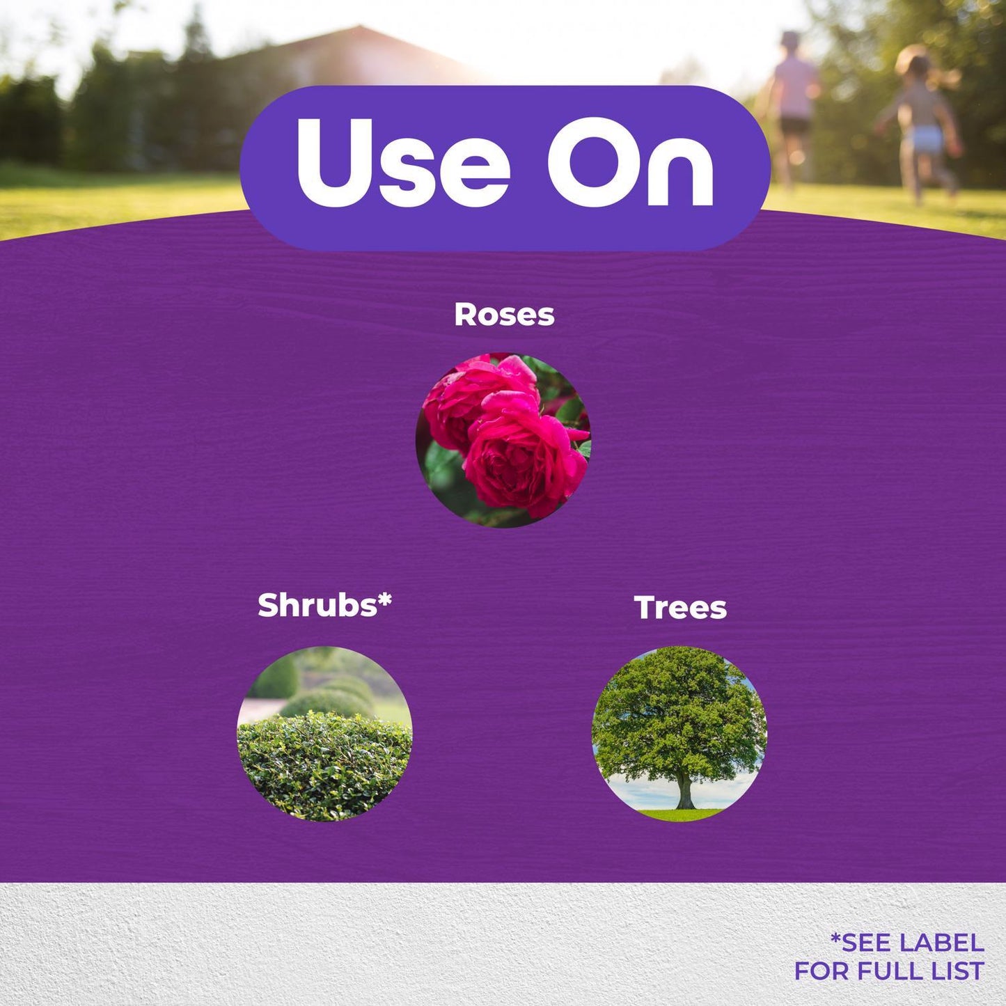 Bonide Garden Rich 16 Oz Tree Pruning Sealer