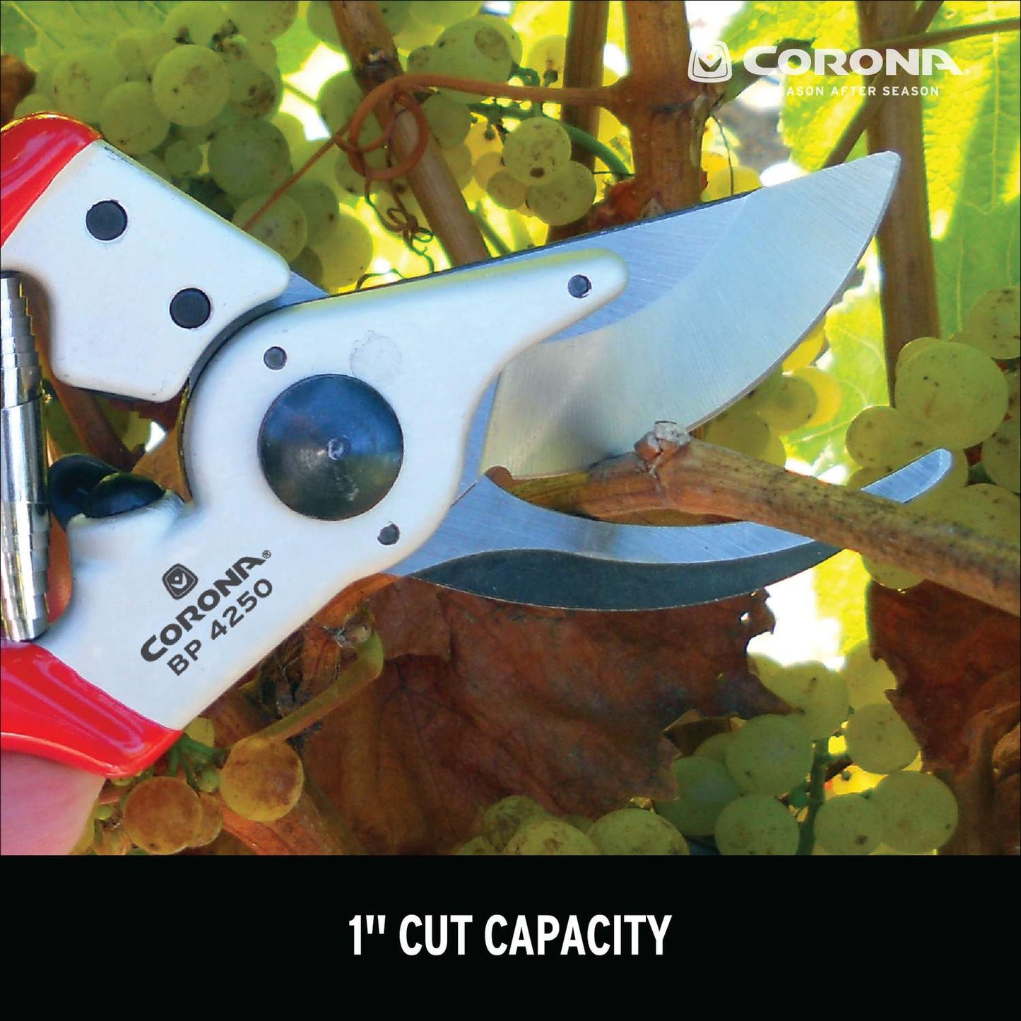 Corona Carbon Steel Bypass Pruners