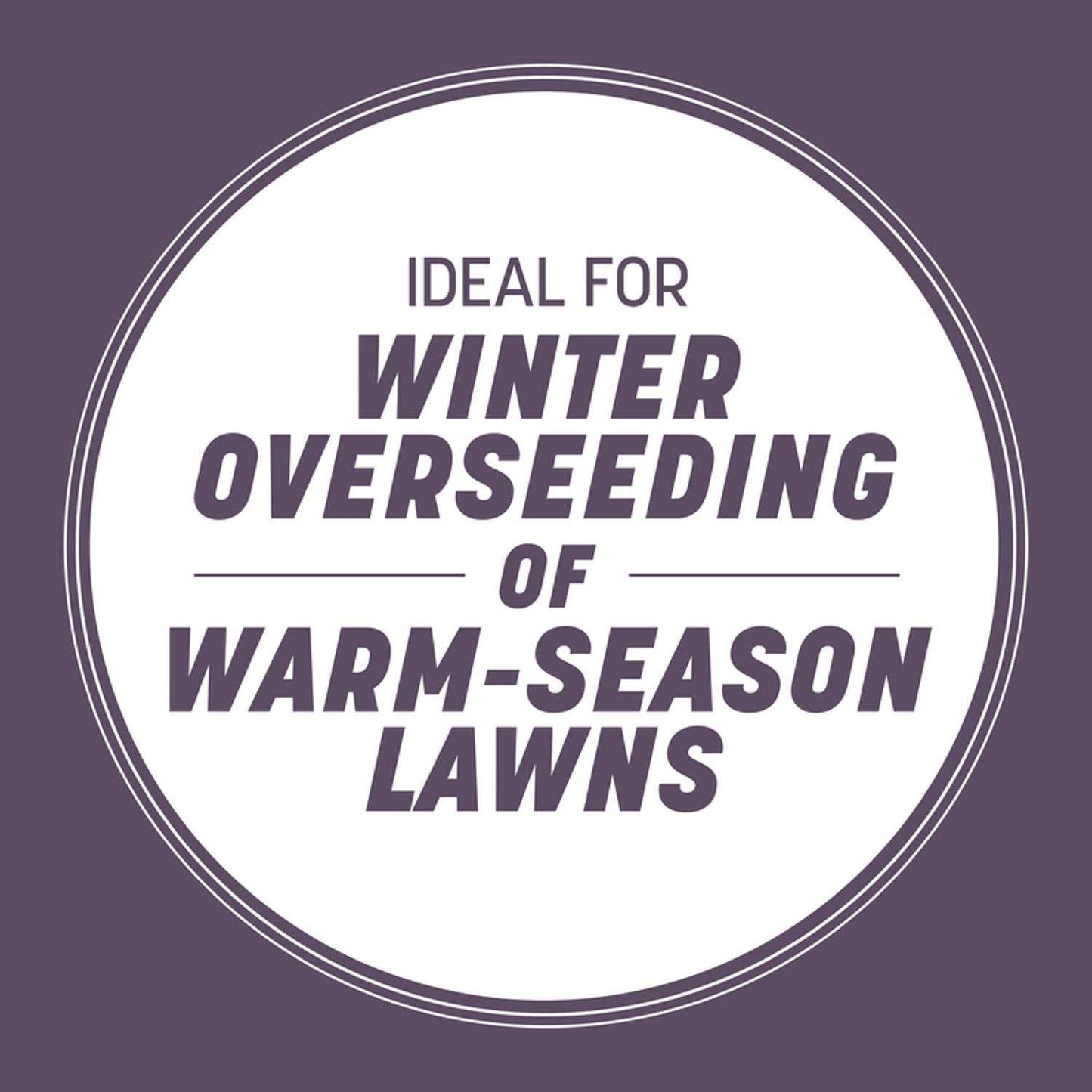 Pennington Annual Ryegrass Sun Or Shade Grass Seed 25 Lb