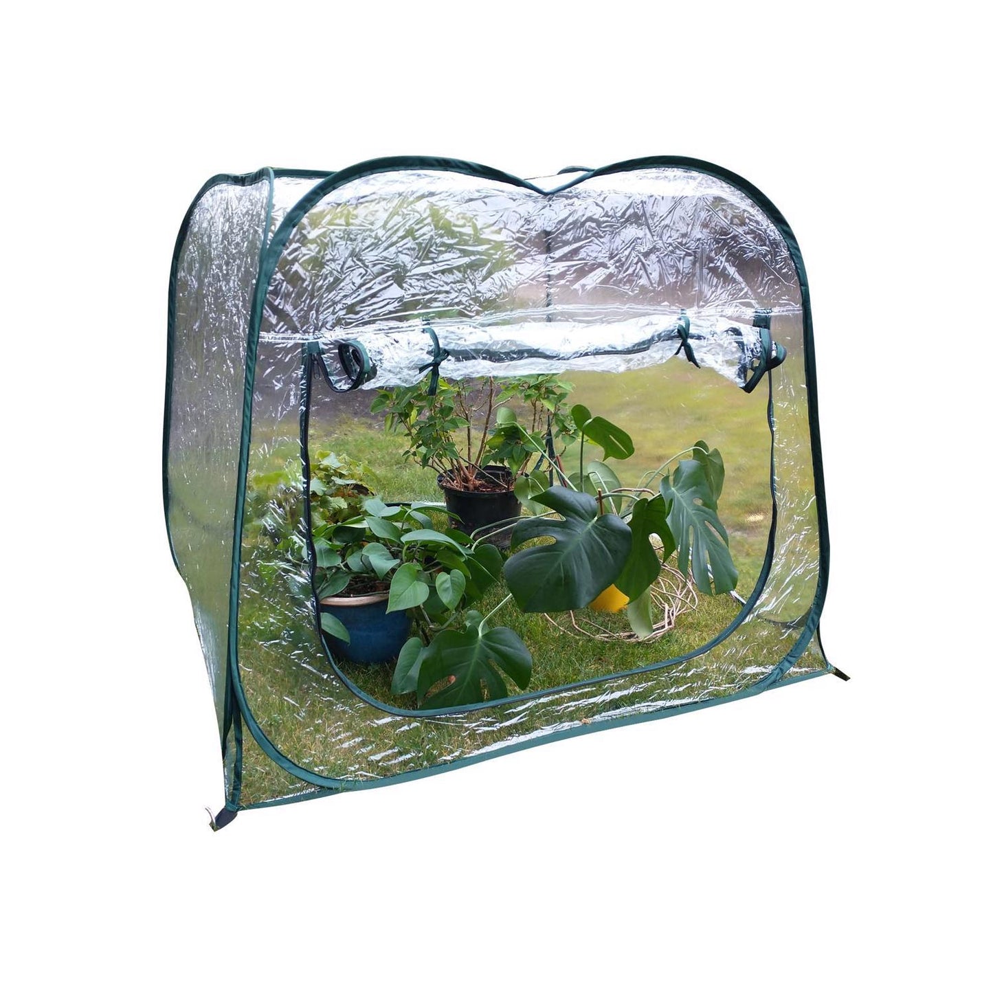 Zenport Green 47.3 In. W X 47.3 In. D X 39.4 In. H Pop-Up Greenhouse