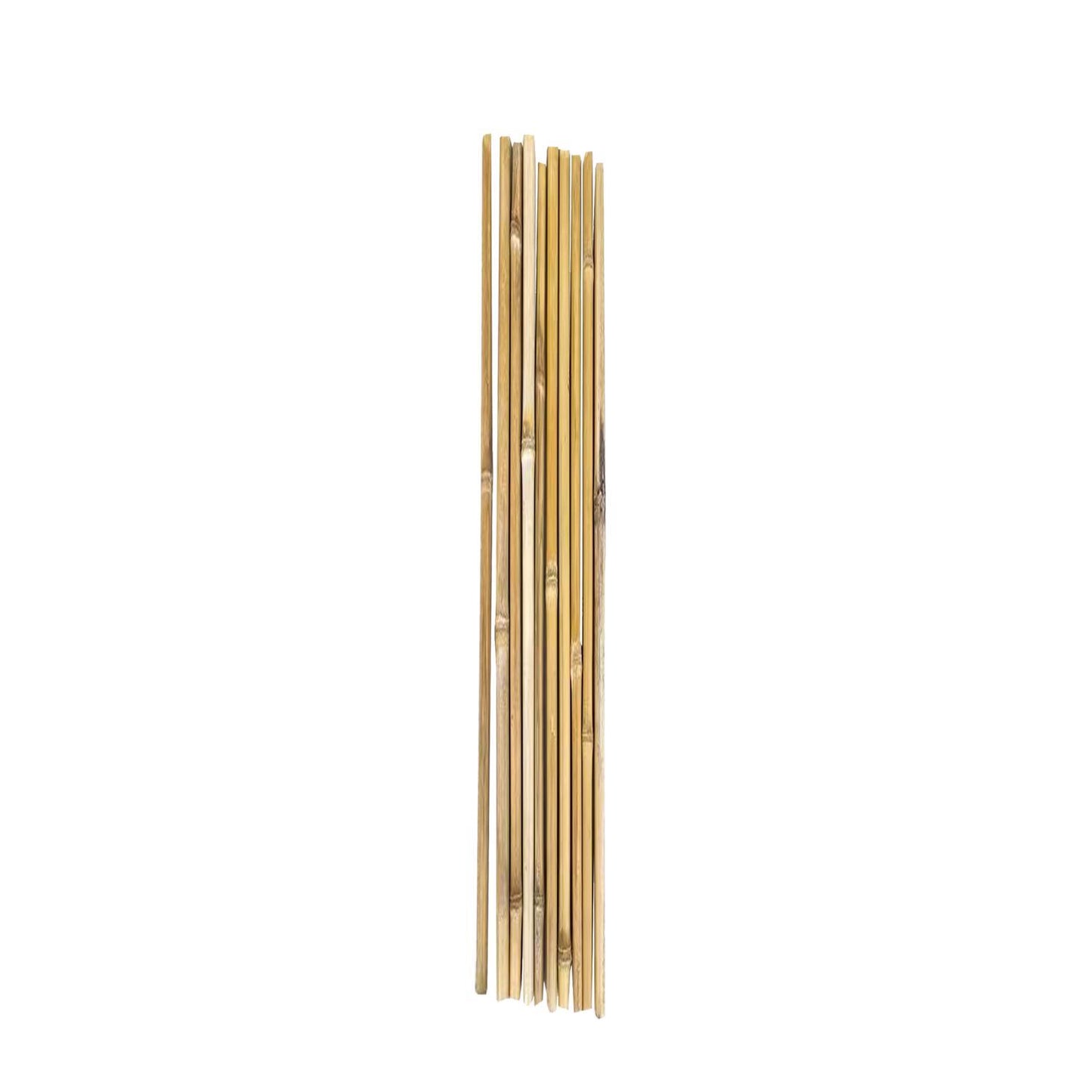 ATC 24 In. H Natural Bamboo Garden Stakes