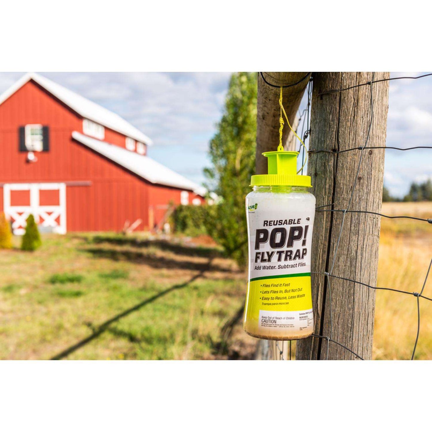 RESCUE POP Fly Trap 1 Pk