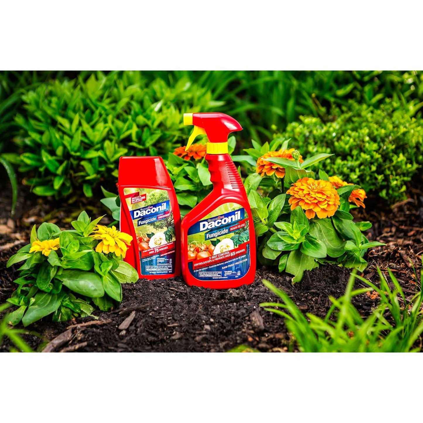 GardenTech Daconil Liquid Fungicide 32 Oz