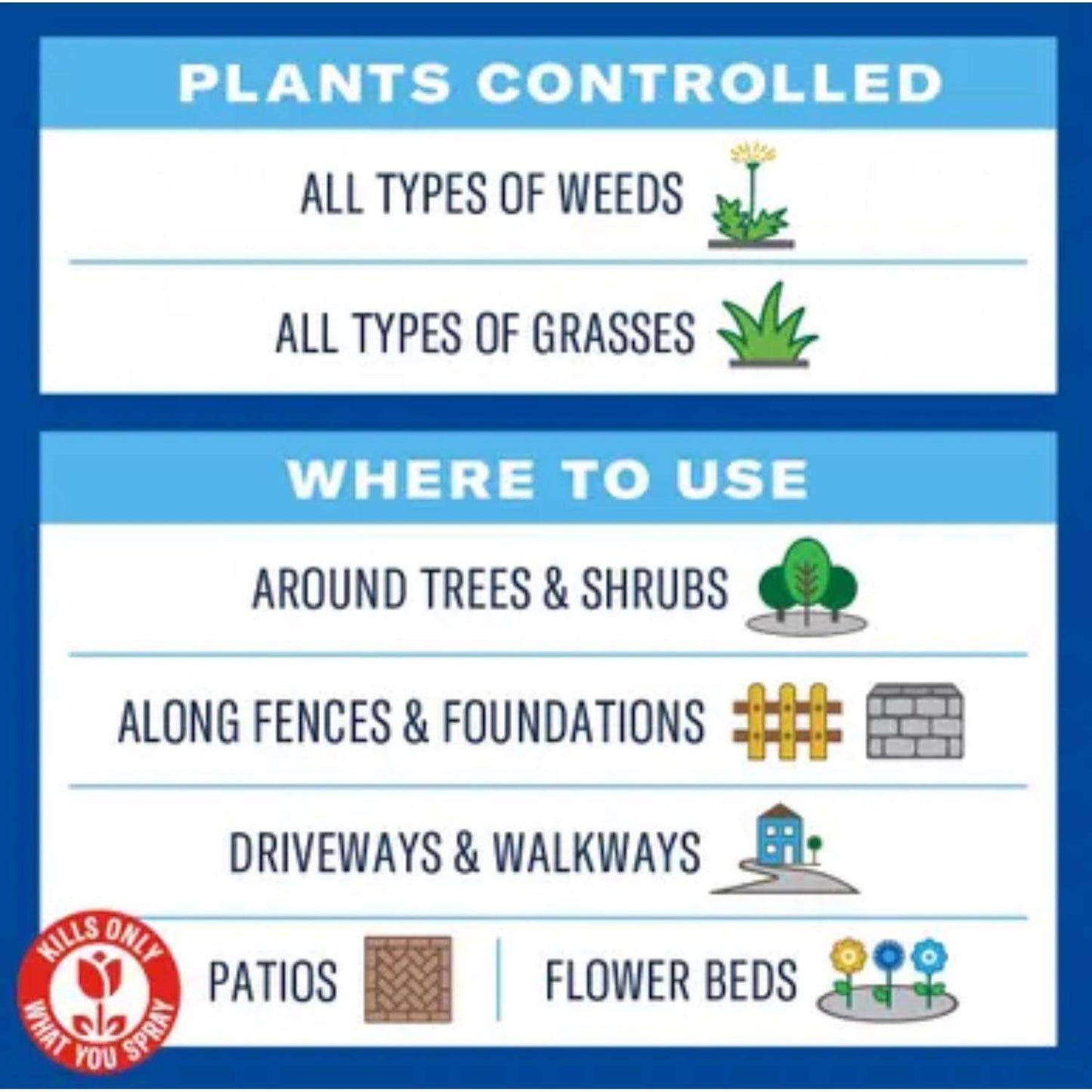 BioAdvanced Weed And Grass Killer Concentrate 32 Oz