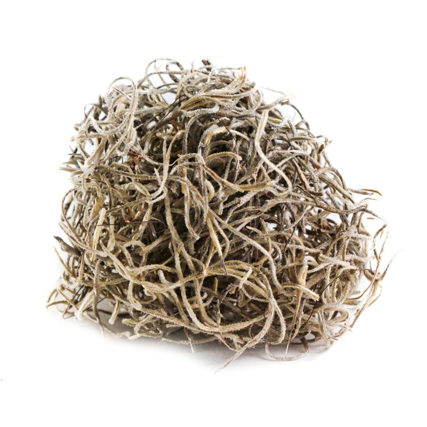 SuperMoss Spanish Moss 200 Cu In