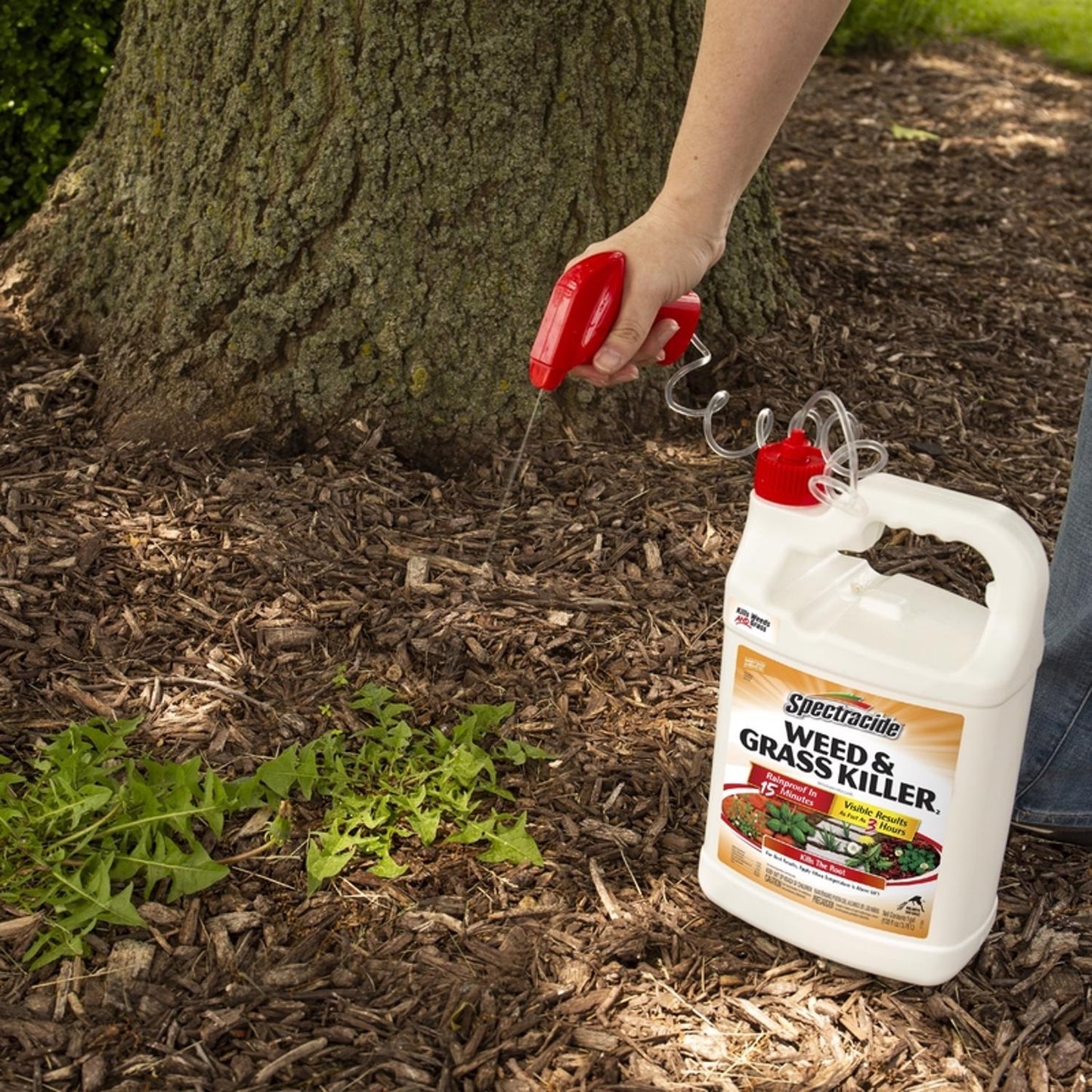 Spectracide Weed And Grass Killer RTU Liquid 1 Gal