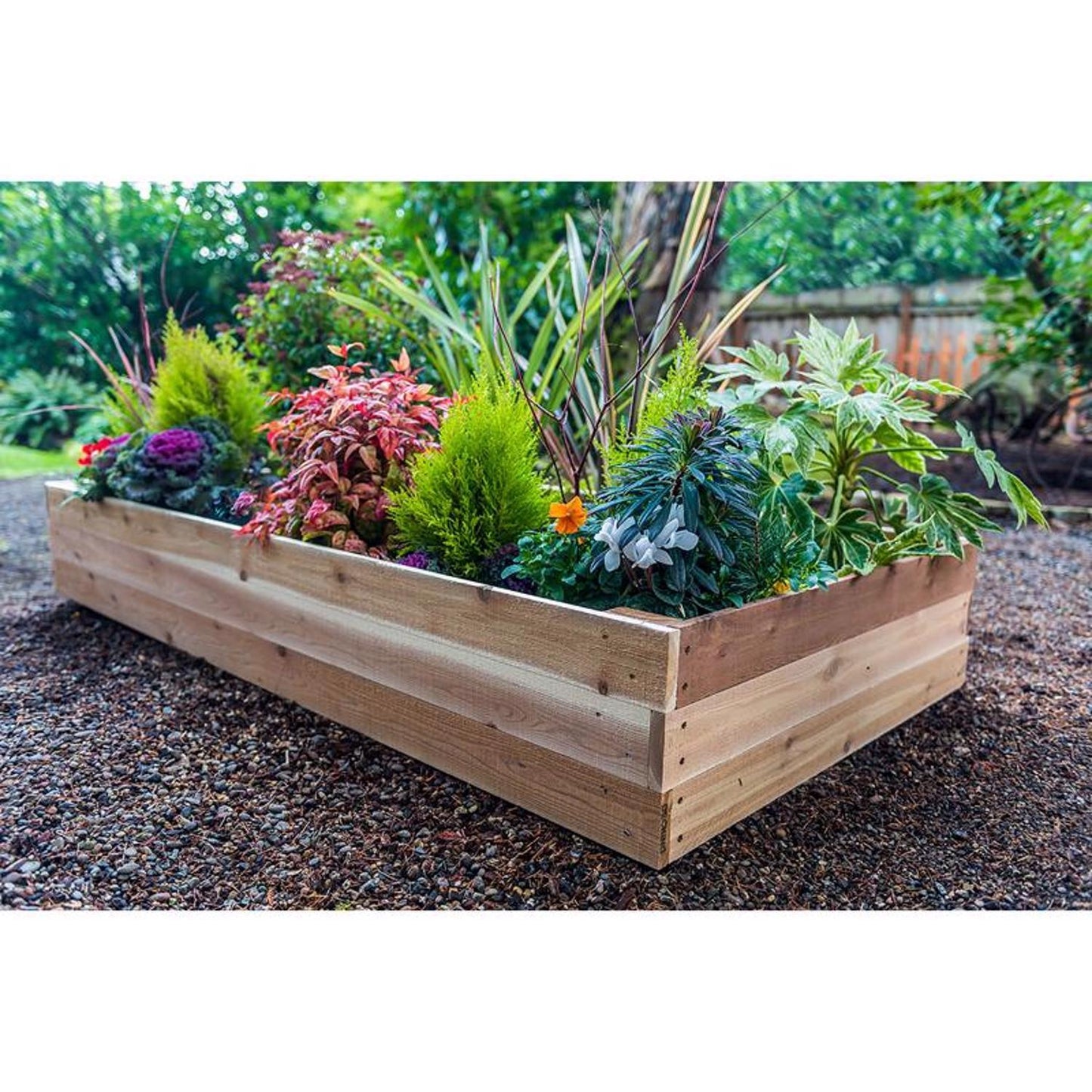 Real Wood Products 10.5 In. H X 72 In. W X 36 In. D Cedar Western Raised Garden Bed Natural