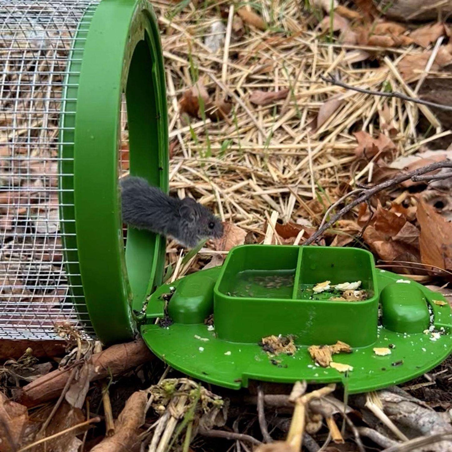 Billy Bob Multiple Catch Cage Trap For Mice 1 Pk