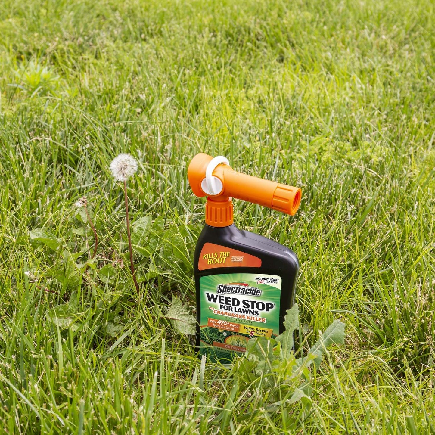 Spectracide Weed Stop Crabgrass Killer RTS Hose-End Concentrate 32 Oz