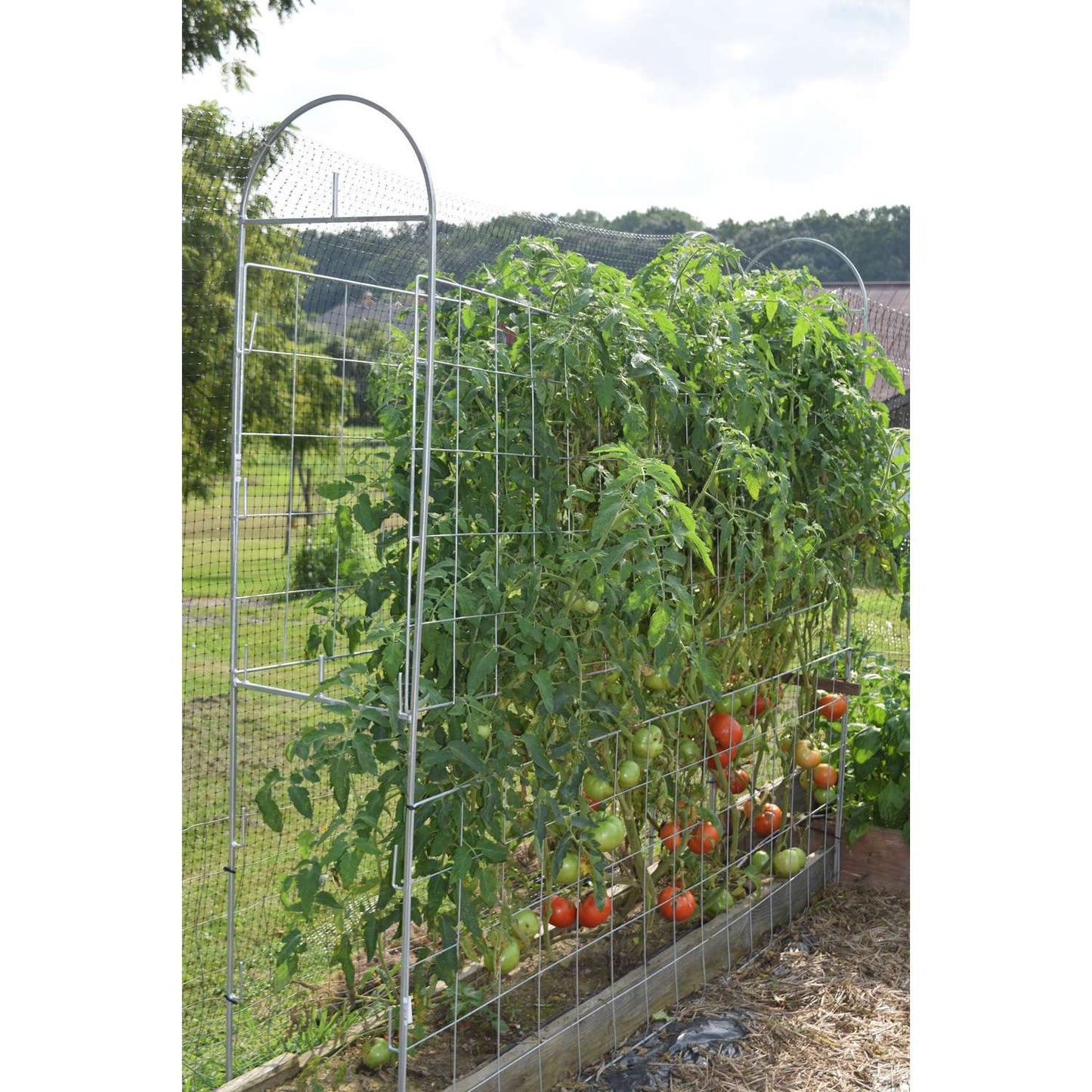 Trellis King 30 In. H Gray Steel Trellis