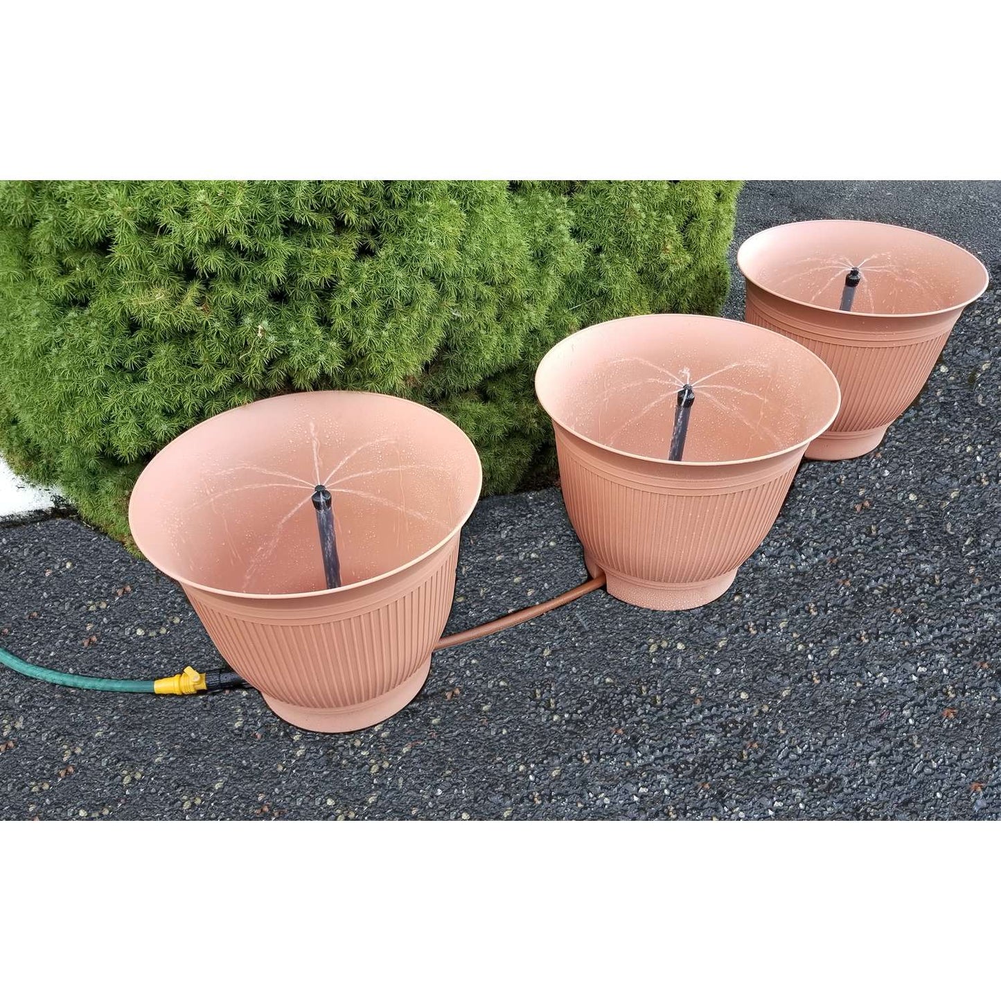Daisy Rain Garden Systems 18.75 In. H X 18.25 In. W X 18.25 In. D Plastic Flower Pot Terracotta