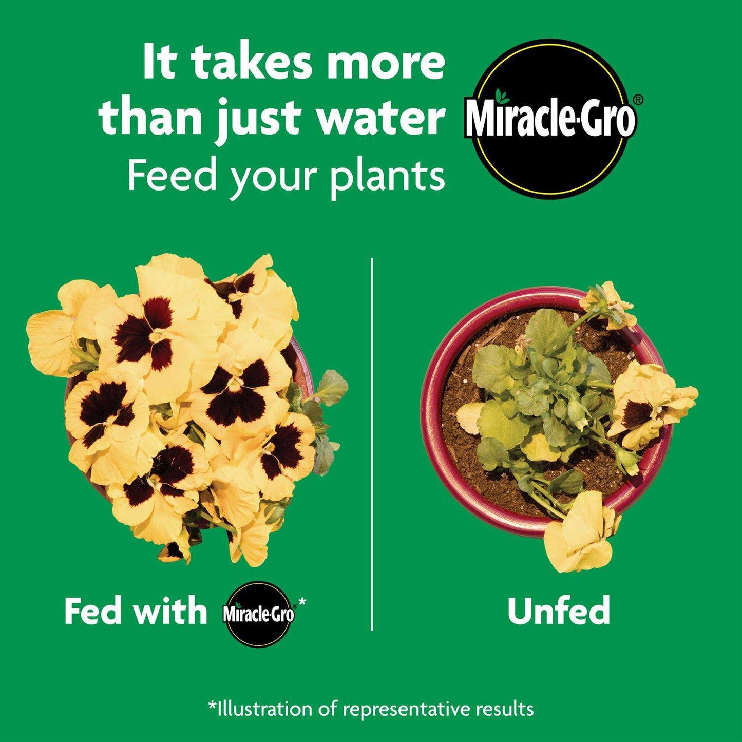 Miracle-Gro Shake 'n Feed Granules All Purpose Plant Food 4.5 Lb