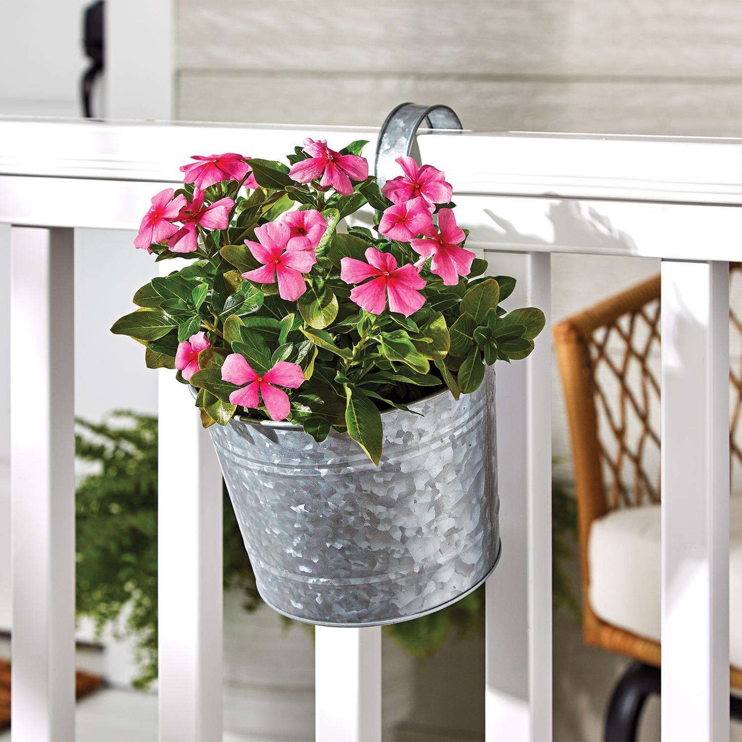 Panacea 6 In. H X 8 In. D Steel Over The Rail Planter Galvanized
