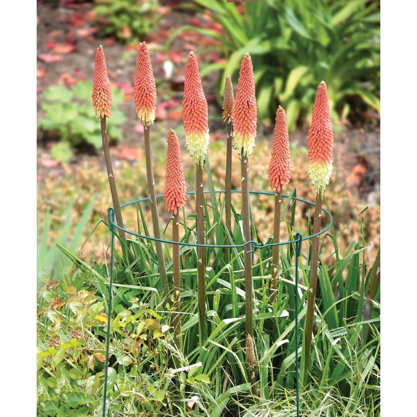 Bosmere 25 In. H Green Plastic Plant Support