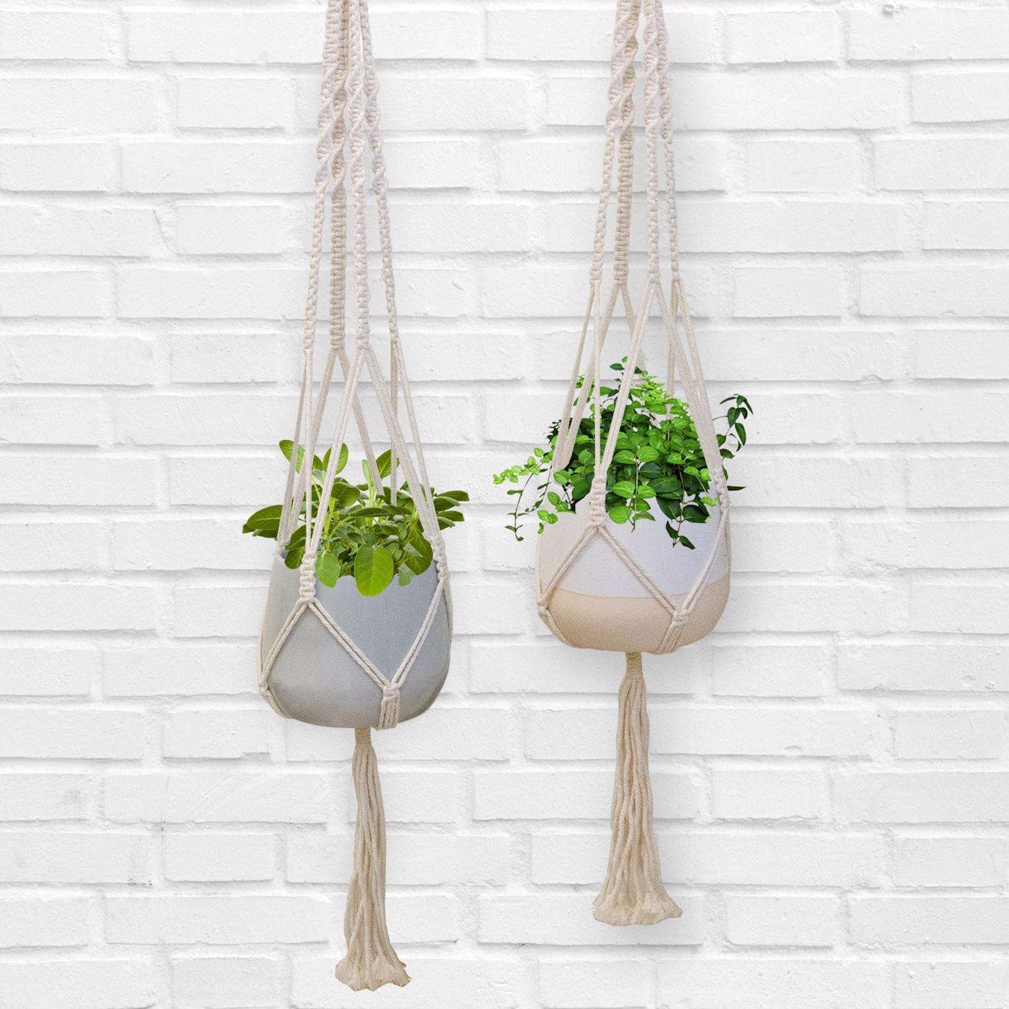 Trendspot Macrame 4.7 In. H X 5.7 In. W X 5.7 In. D X 5.5 In. D Ceramic Planter White