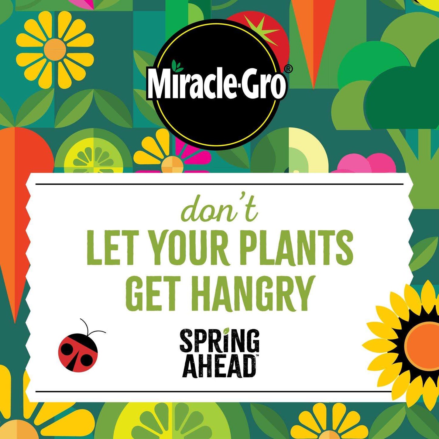 Miracle-Gro Spring Ahead Granules All Purpose Plant Food 3 Lb