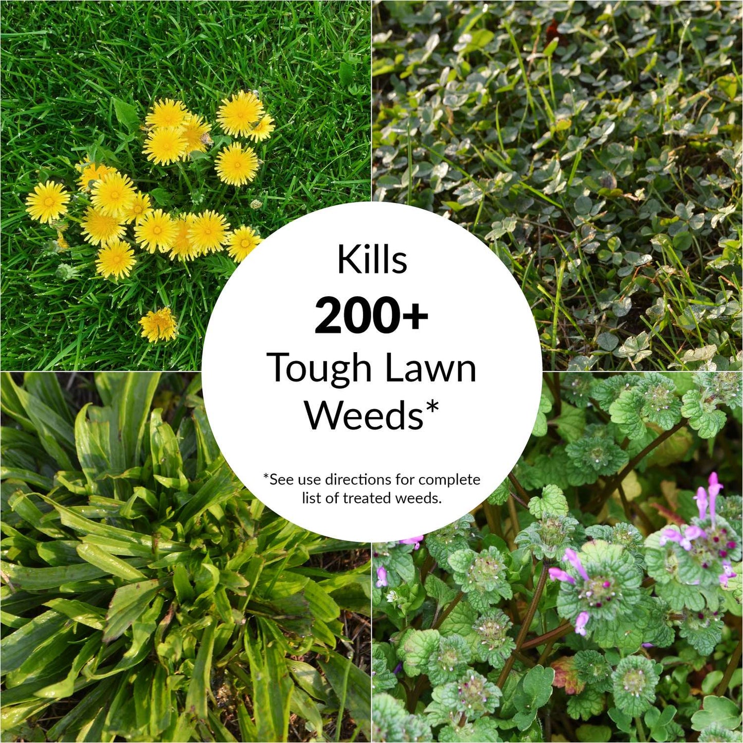 GreenView Fairway Formula Weed & Crabgrass Lawn Fertilizer For All Grasses 5000 Sq Ft