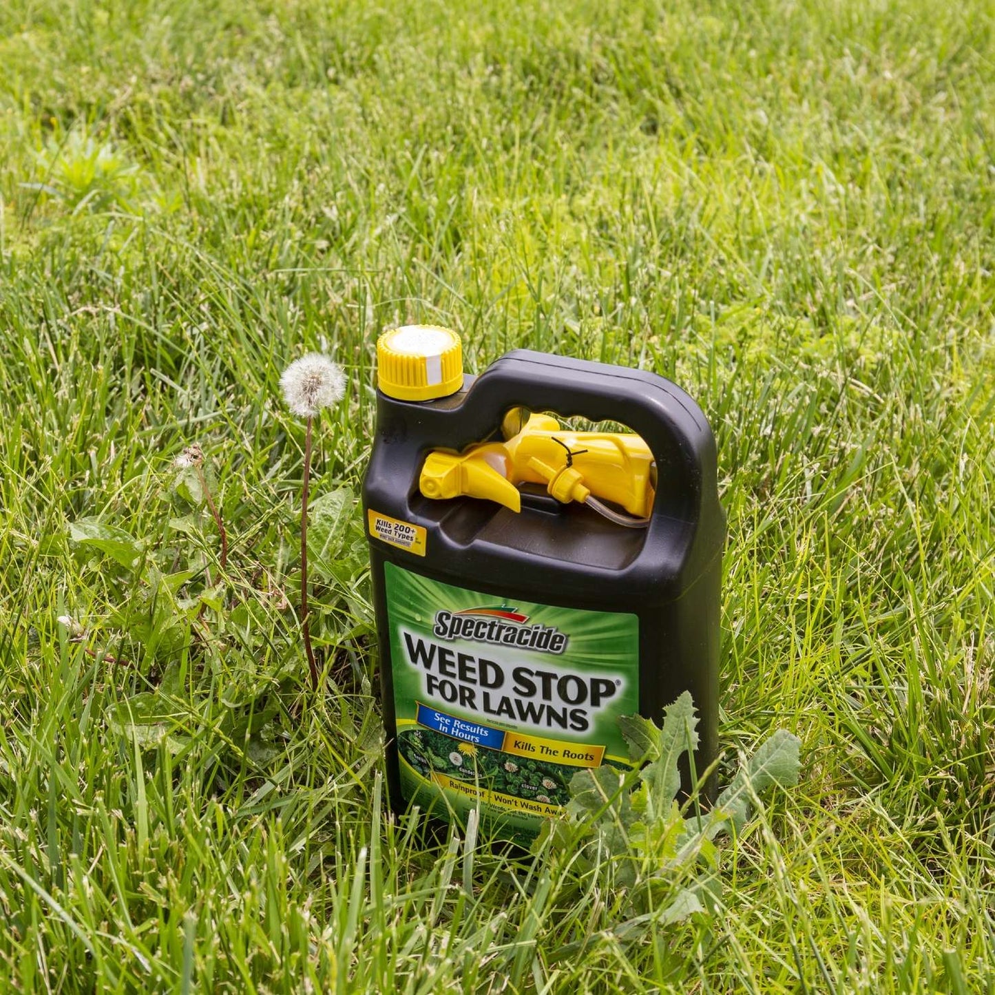Spectracide Weed Stop Weed Killer RTU Liquid 1 Gal
