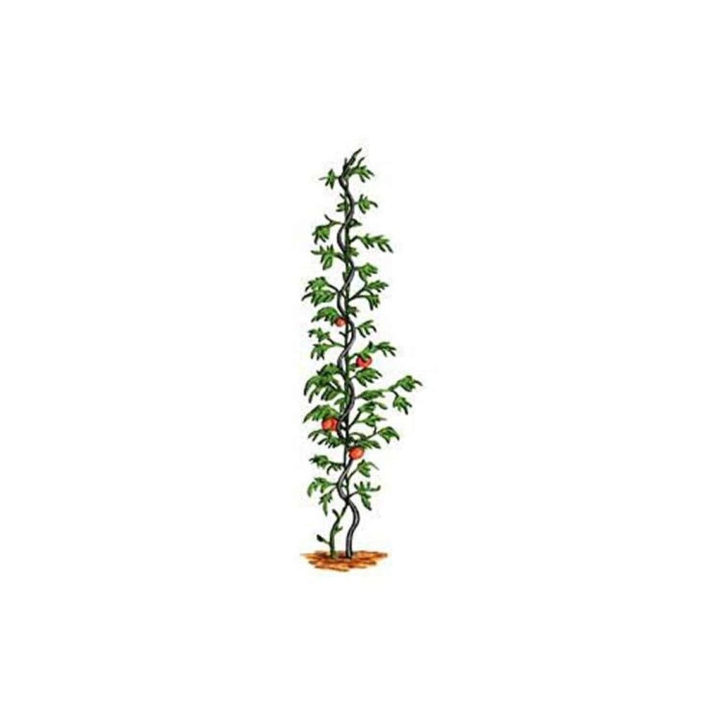 Bosmere 6 Ft. H Green Metal Plant Support
