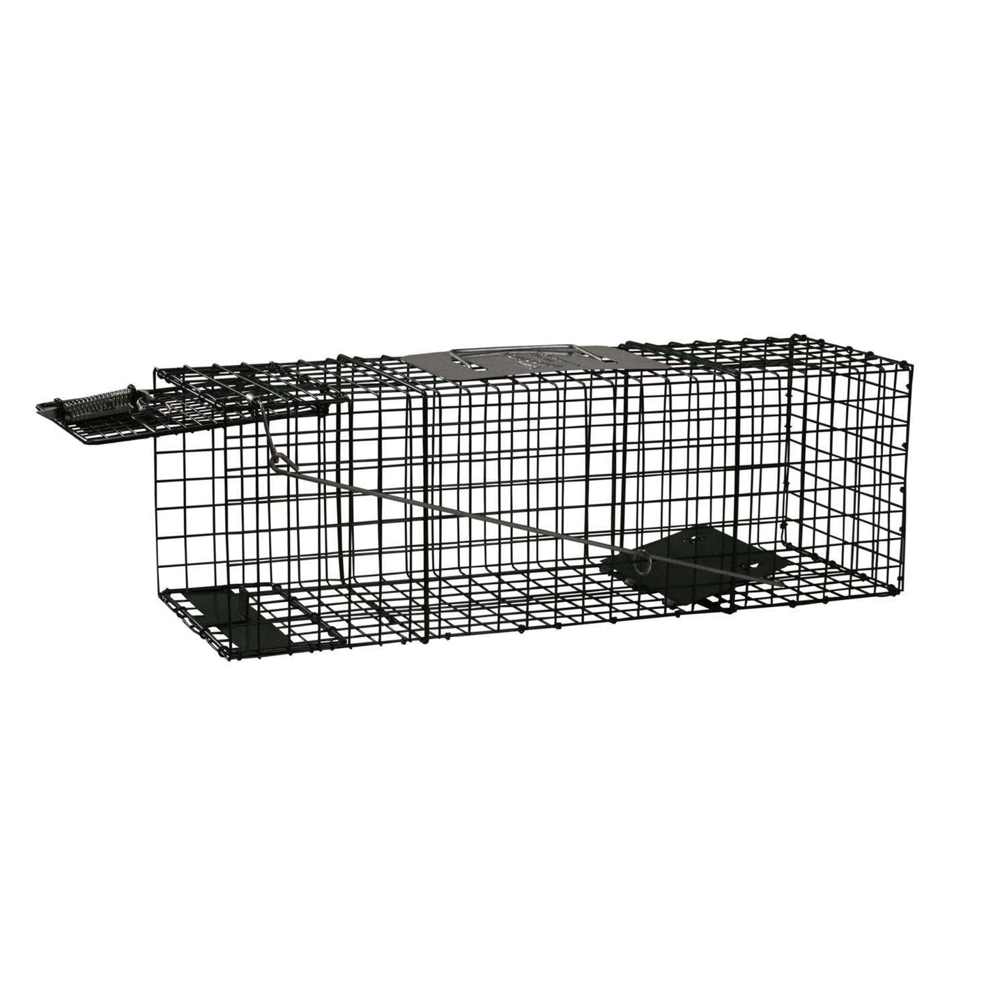 Intruder Relocator Extra Large Live Catch Animal Trap For Foxes 1 Pk