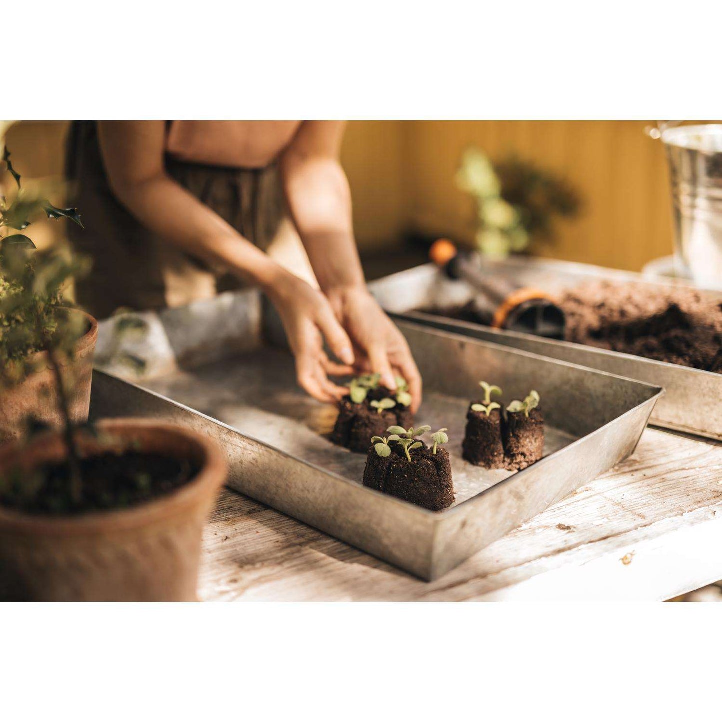 Fiskars 12 In. Soil Block Maker