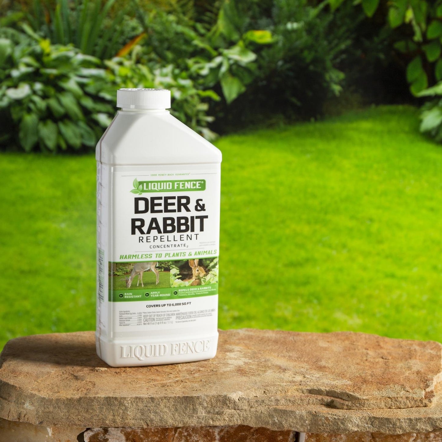 Liquid Fence Animal Repellent Concentrate For Deer And Rabbits 40 Oz