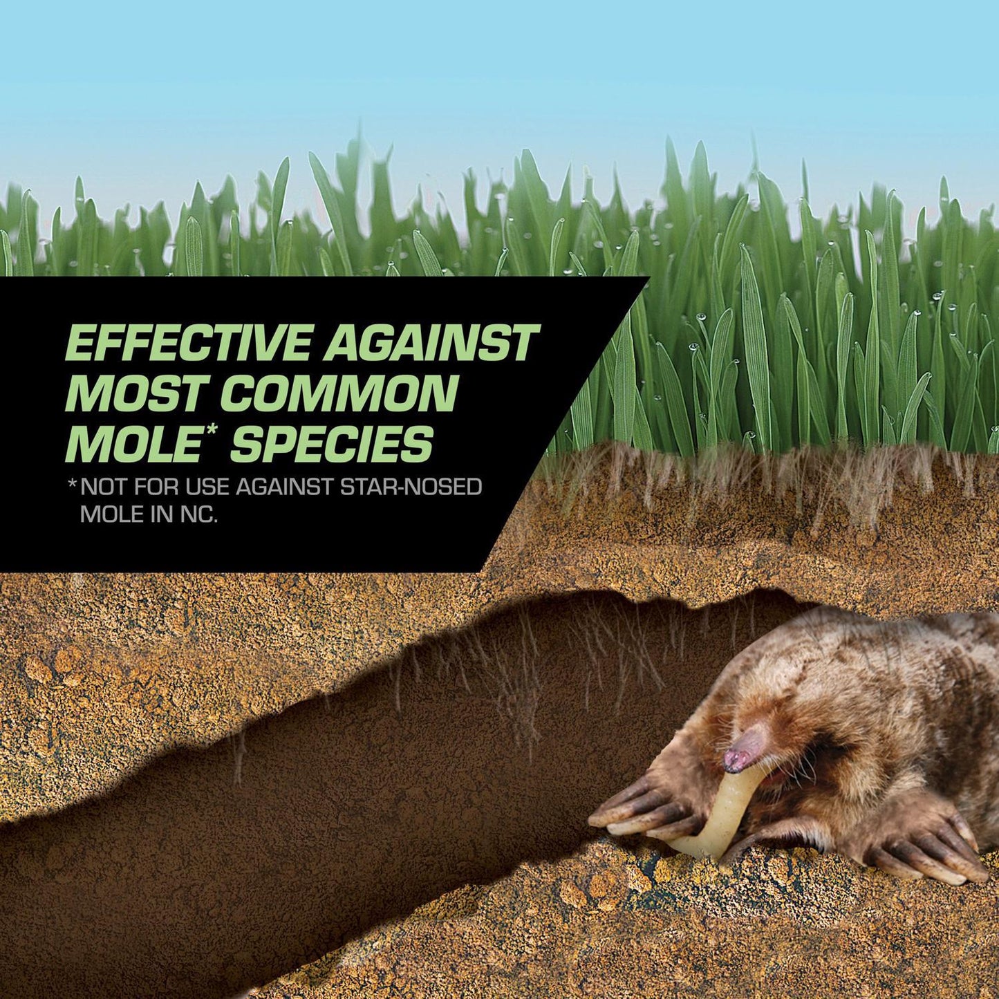 Tomcat Bait Grubs For Moles 8 Pk