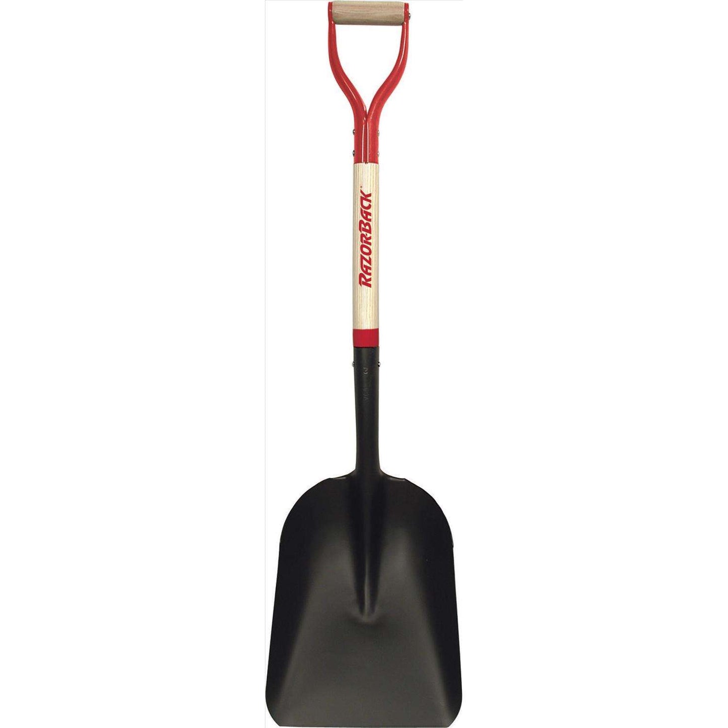 Razor-Back 41 In. Steel Scoop Eastern Pattern Shovel Wood Handle