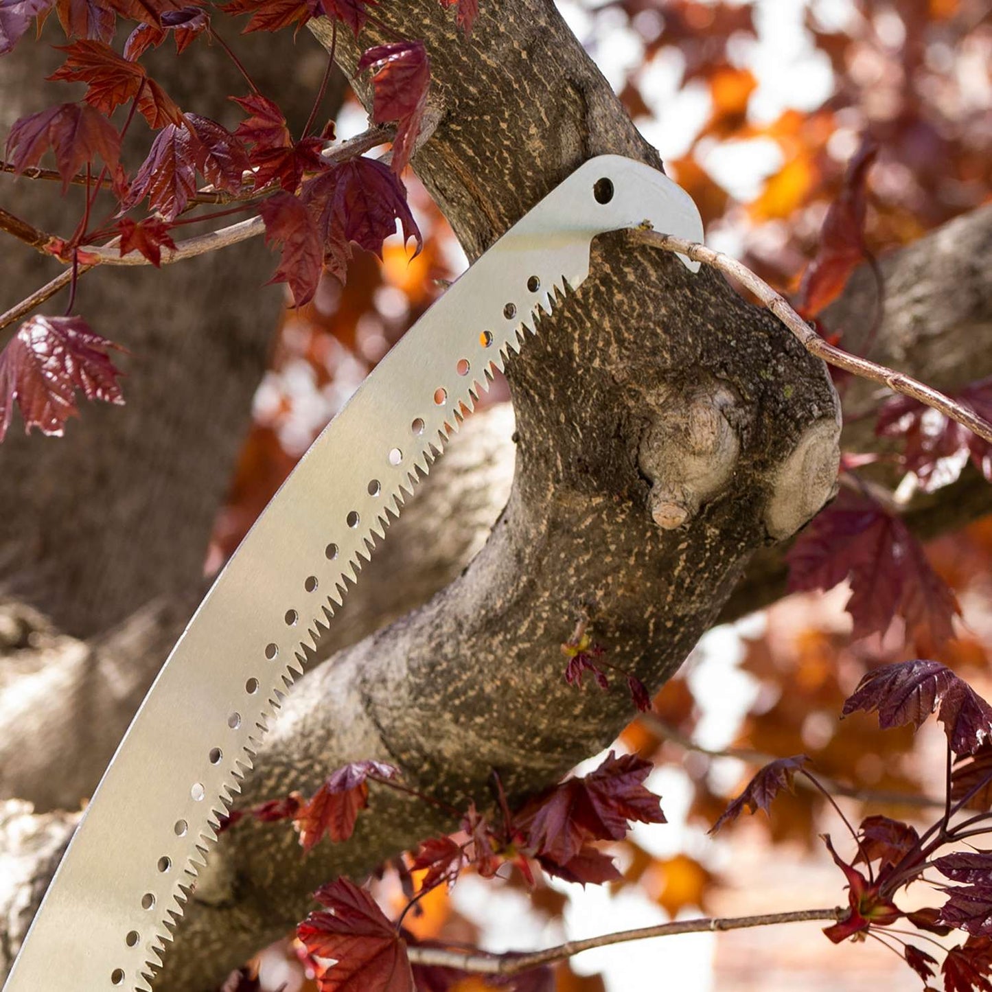 EZ Smart Tools PS16 Stainless Steel Razor Tooth Pruning Saw