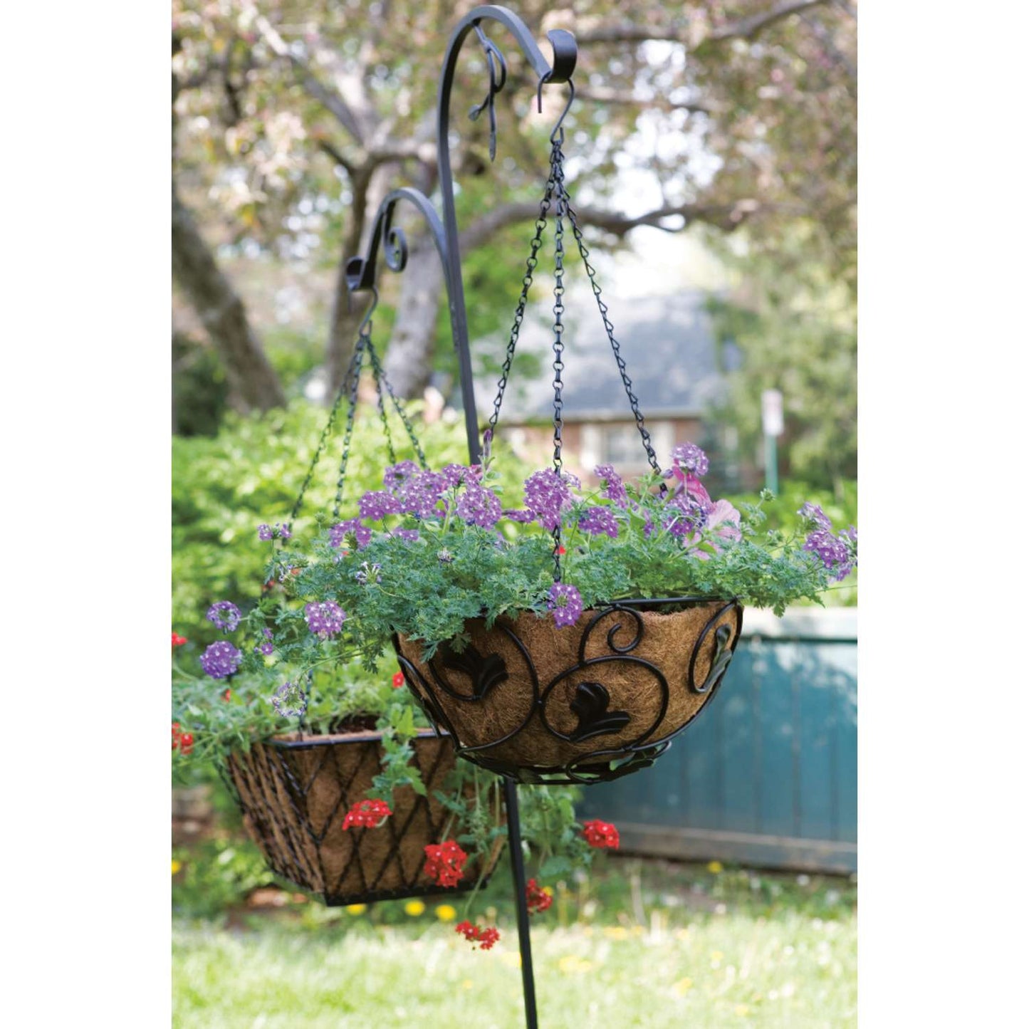 Panacea Black Steel 84 In. H Double Crook And Shepherd Leaf Plant Hook 1 Pk