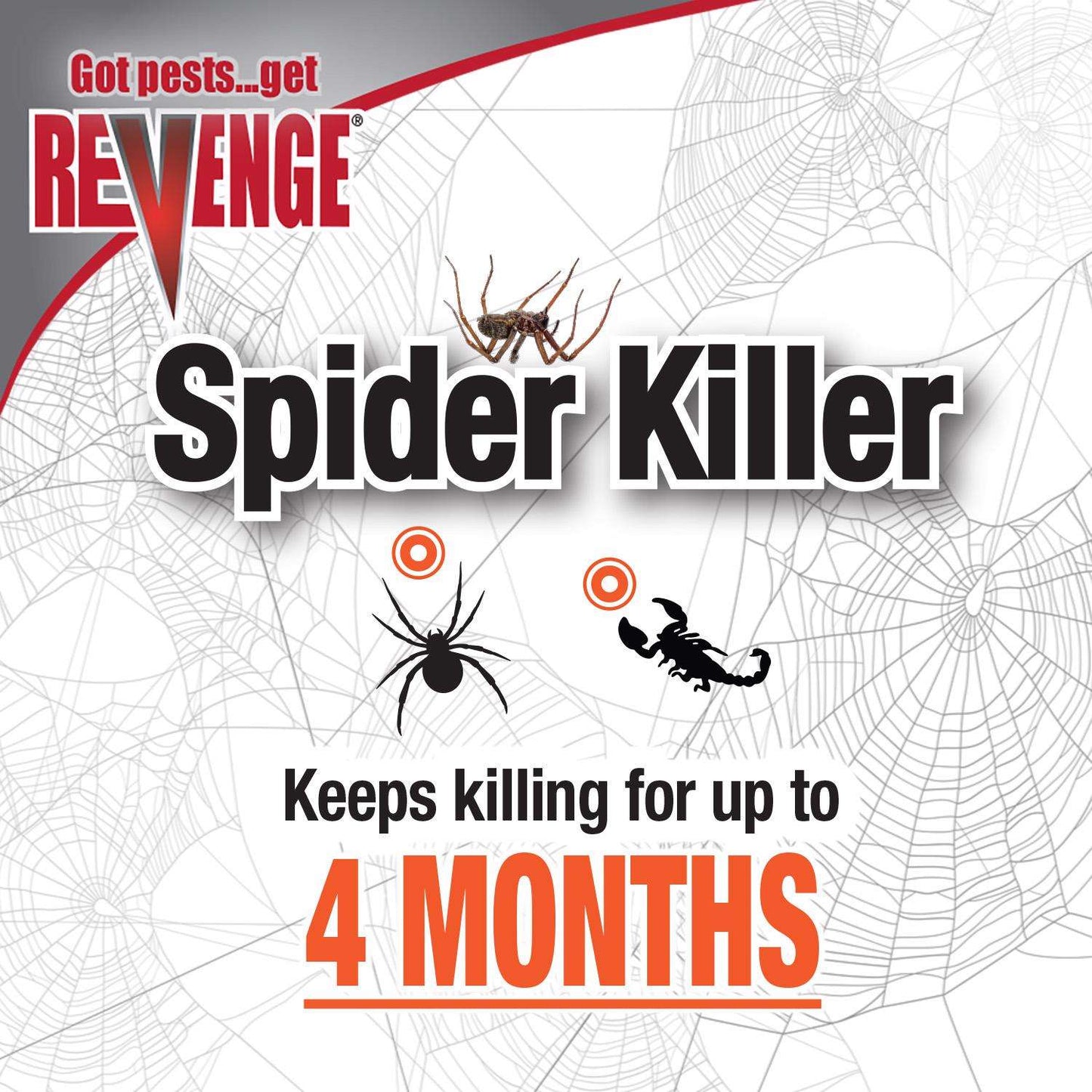 Bonide Spider Insect Killer Liquid 128 Oz