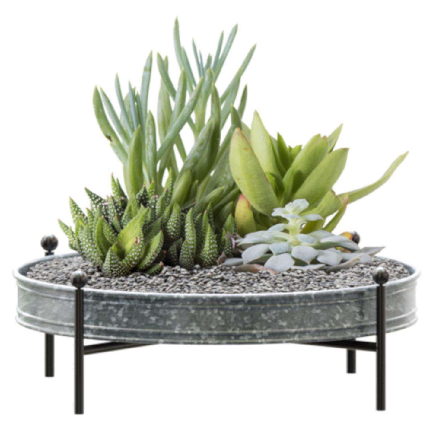 Panacea 5.75 In. H X 16 In. D Metal Succulent Tray Planter With Stand Silver
