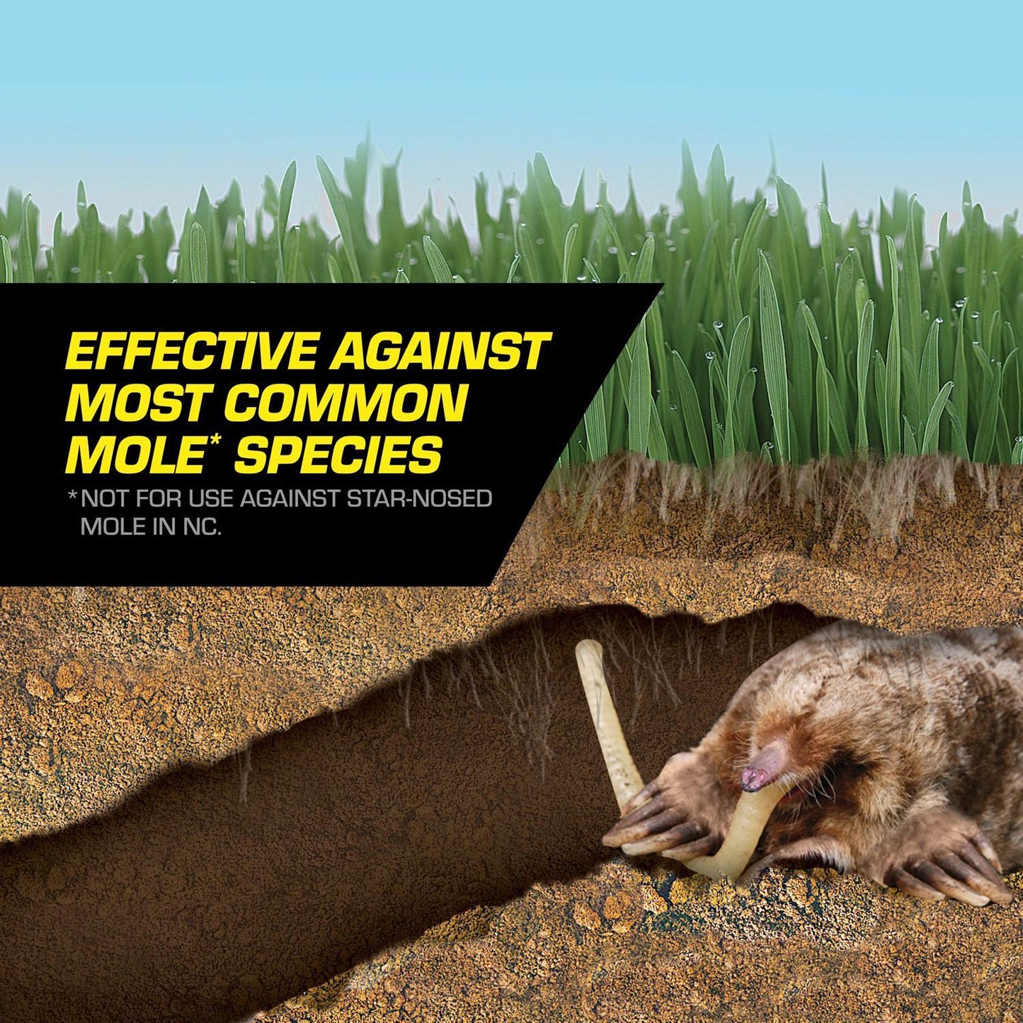 Tomcat Bait Worms For Moles 10 Pk
