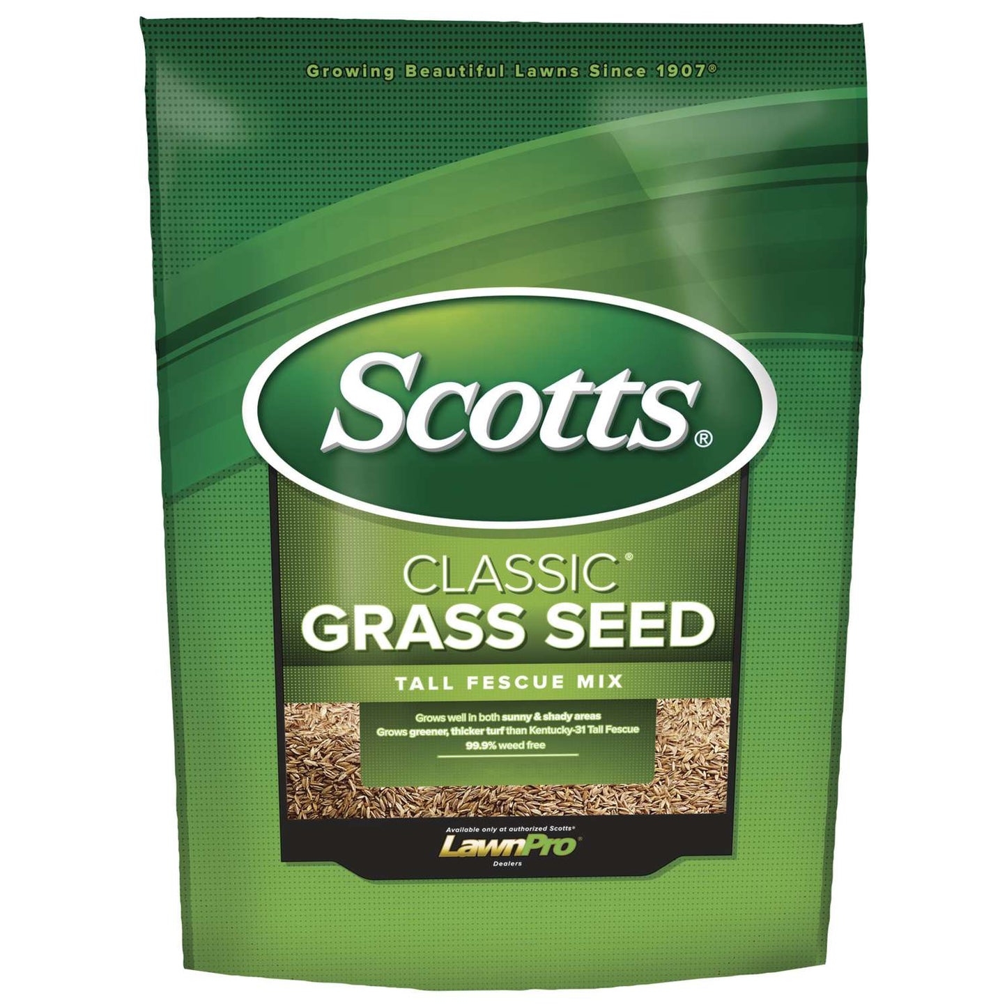 Scotts Classic Tall Fescue Grass Sun Or Shade Grass Seed 20 Lb