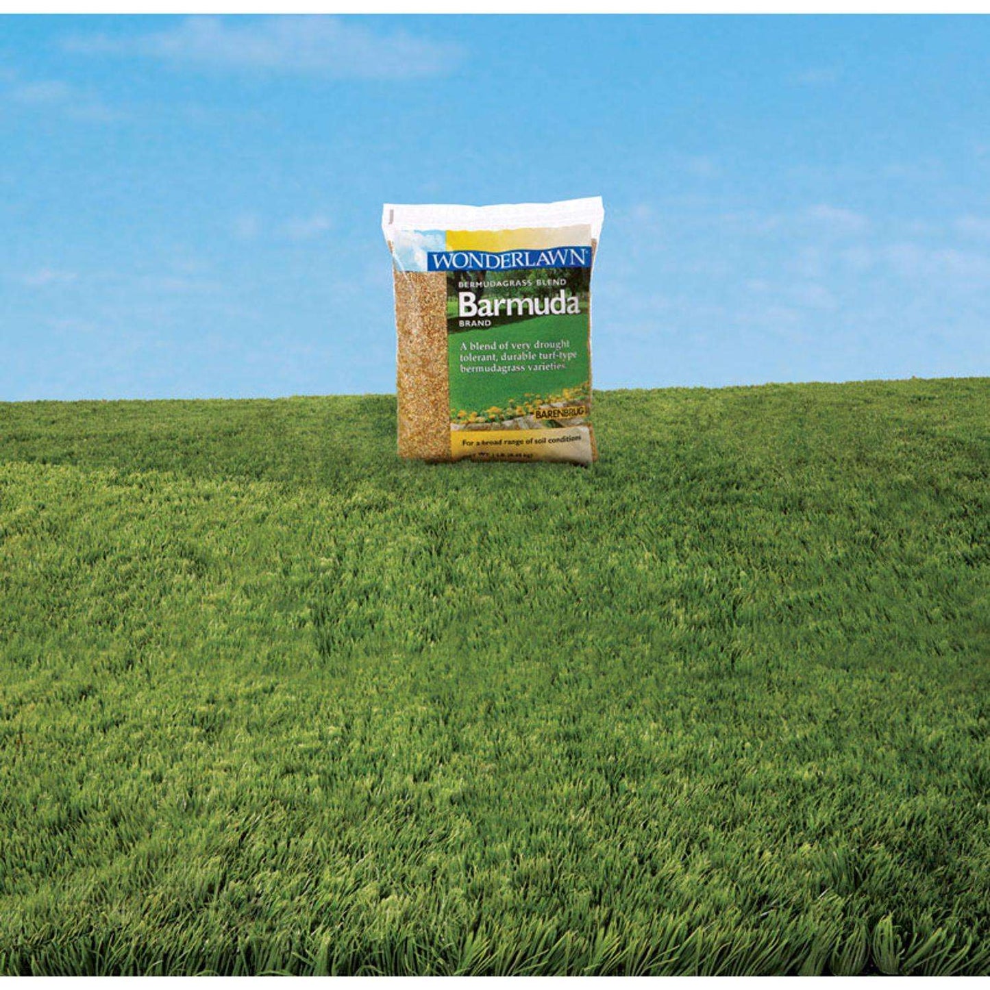 Barenbrug Wonderlawn Bermuda Grass Full Sun Grass Seed 1 Lb
