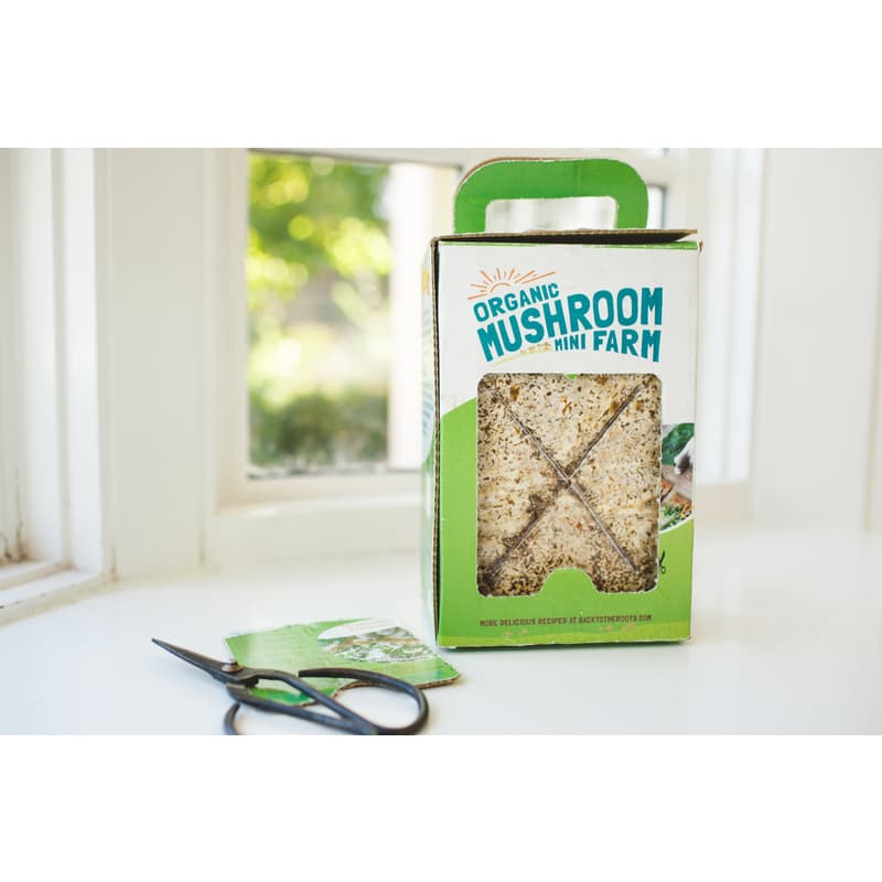 Back To The Roots Mushroom Mini Farm 1 Pk