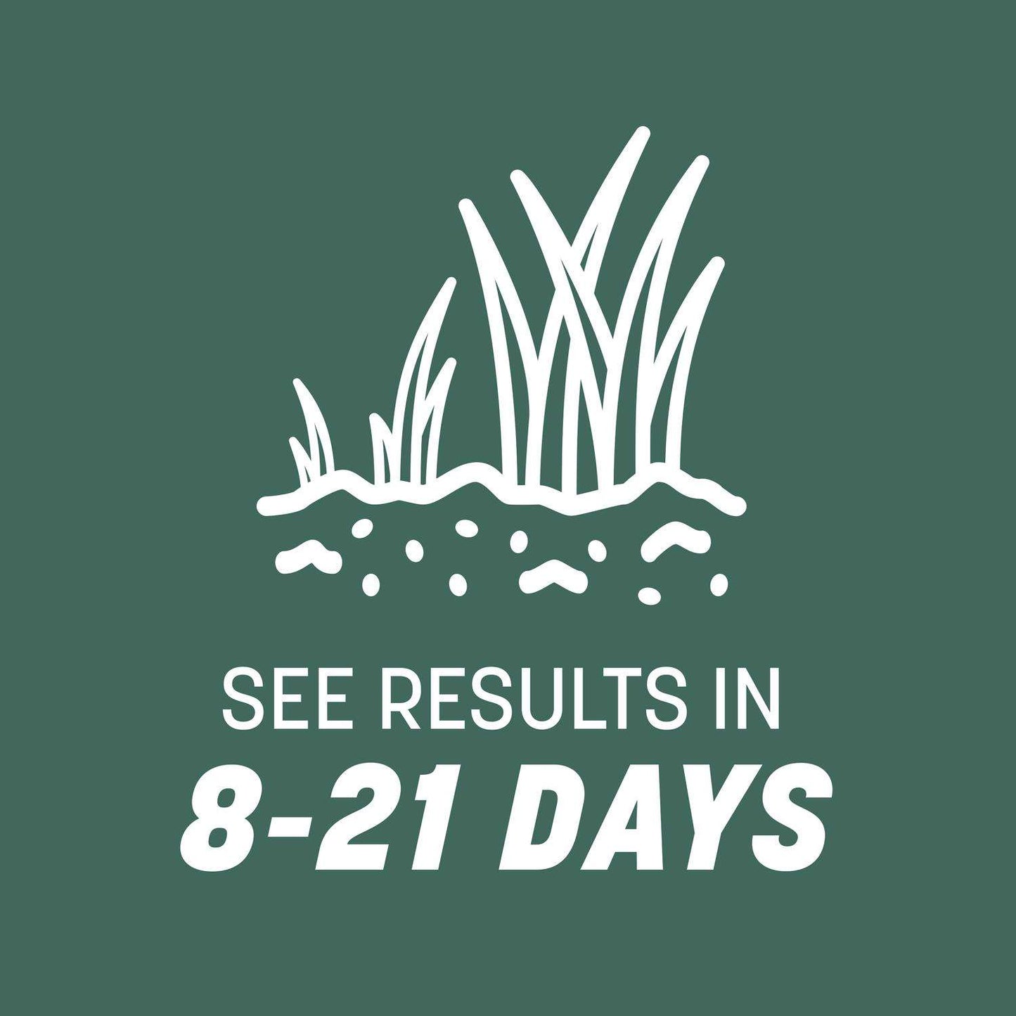 Pennington Kentucky 31 Tall Fescue Grass Sun Or Shade Grass Seed 40 Lb