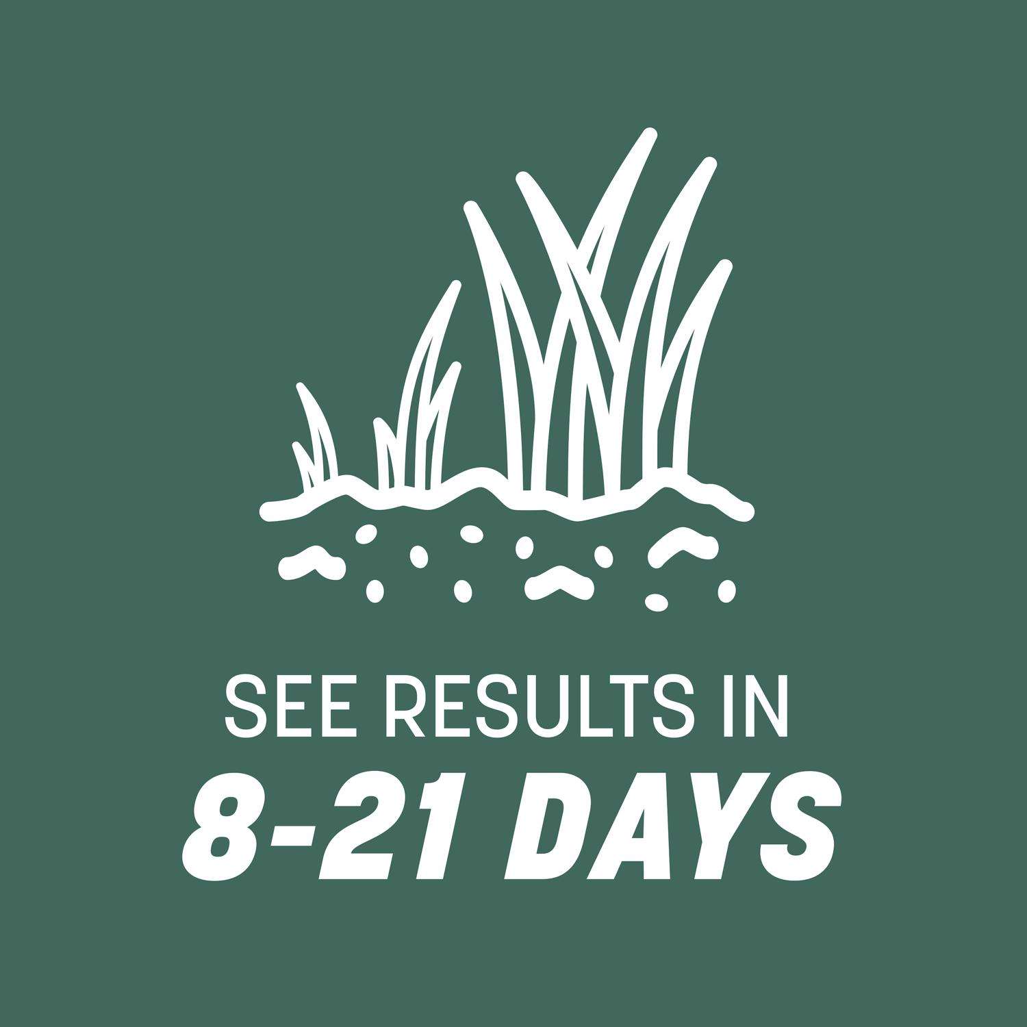  Pennington Kentucky 31 Tall Fescue Grass Sun Or Shade Grass Seed 40 Lb
