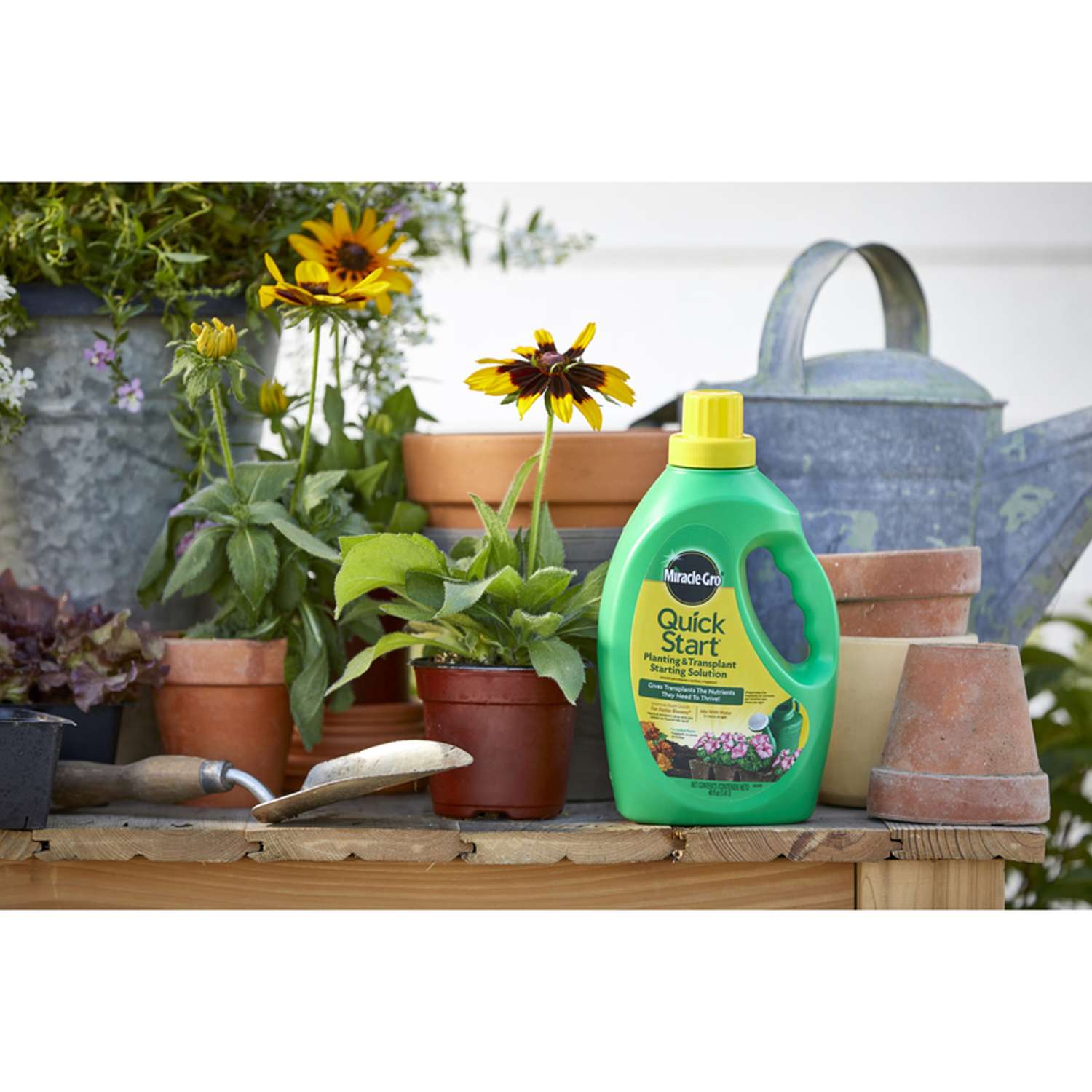  Miracle-Gro Quick Start Liquid Root Feeder 48 Oz