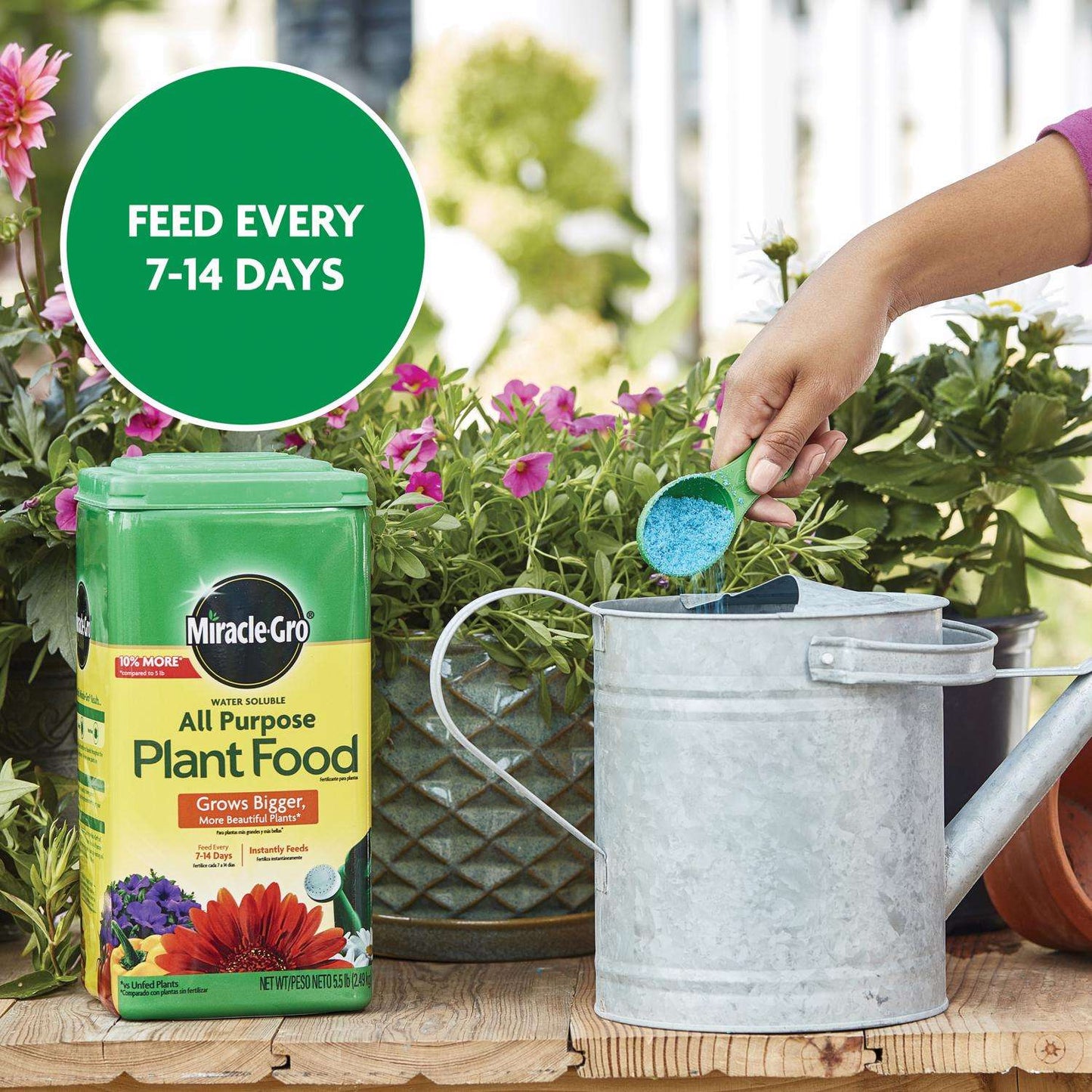 Miracle-Gro Granules All Purpose Plant Food 5.5 Lb