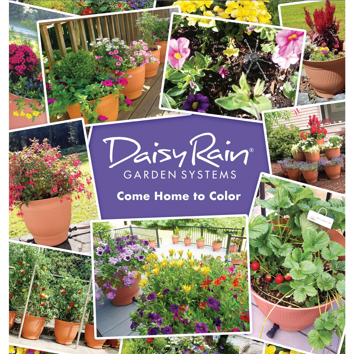 Daisy Rain Garden Systems 18.75 In. H X 18.25 In. W X 18.25 In. D Plastic Flower Pot Terracotta