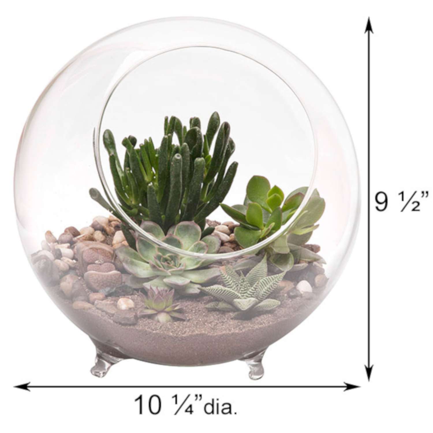 Panacea 9.5 In. H X 10.25 In. D Glass Sphere Terrarium With Feet Clear