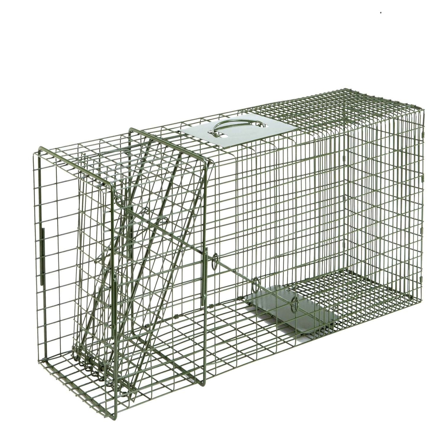  Duke Large Live Catch Cage Trap For Raccoons 1 Pk