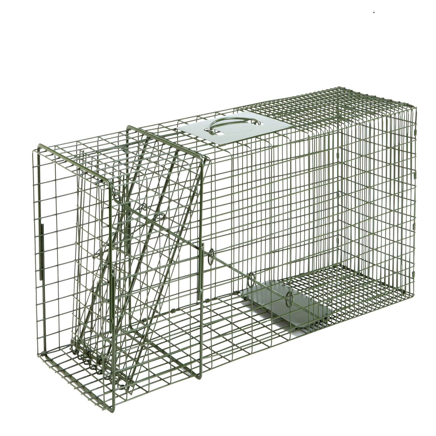  Duke Large Live Catch Cage Trap For Raccoons 1 Pk