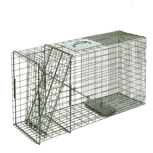  Duke Large Live Catch Cage Trap For Raccoons 1 Pk