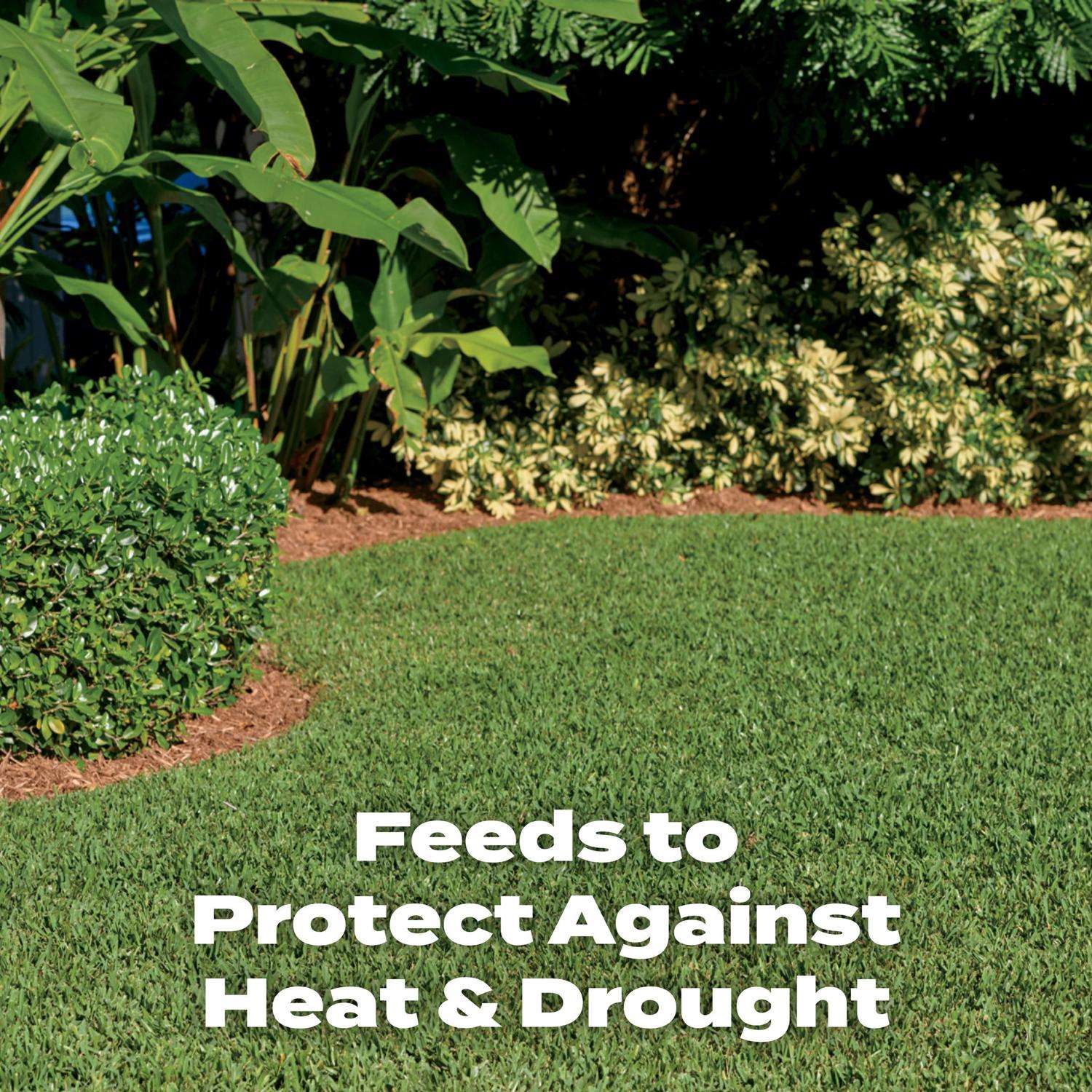  Scotts Turf Builder Southern All-Purpose Lawn Fertilizer For All Grasses 15000 Sq Ft