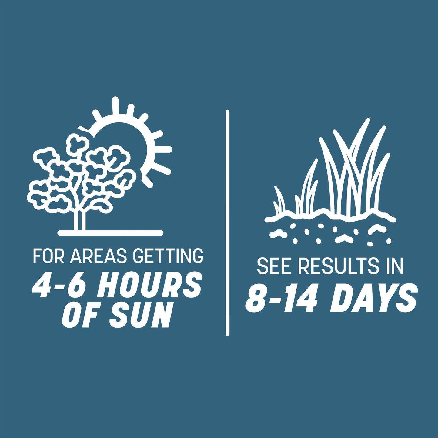  Pennington Smart Seed Mixed Sun Or Shade Grass Seed And Fertilizer 3 Lb