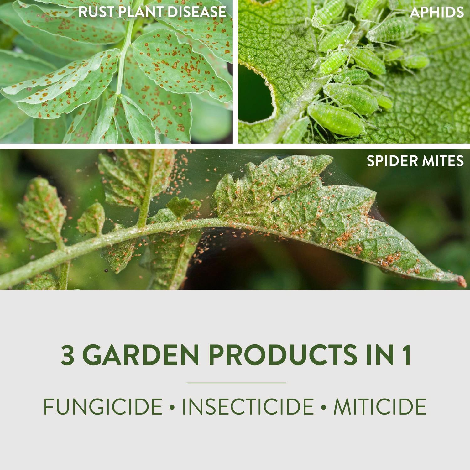  Garden Safe Organic Liquid Fungicide 32 Oz
