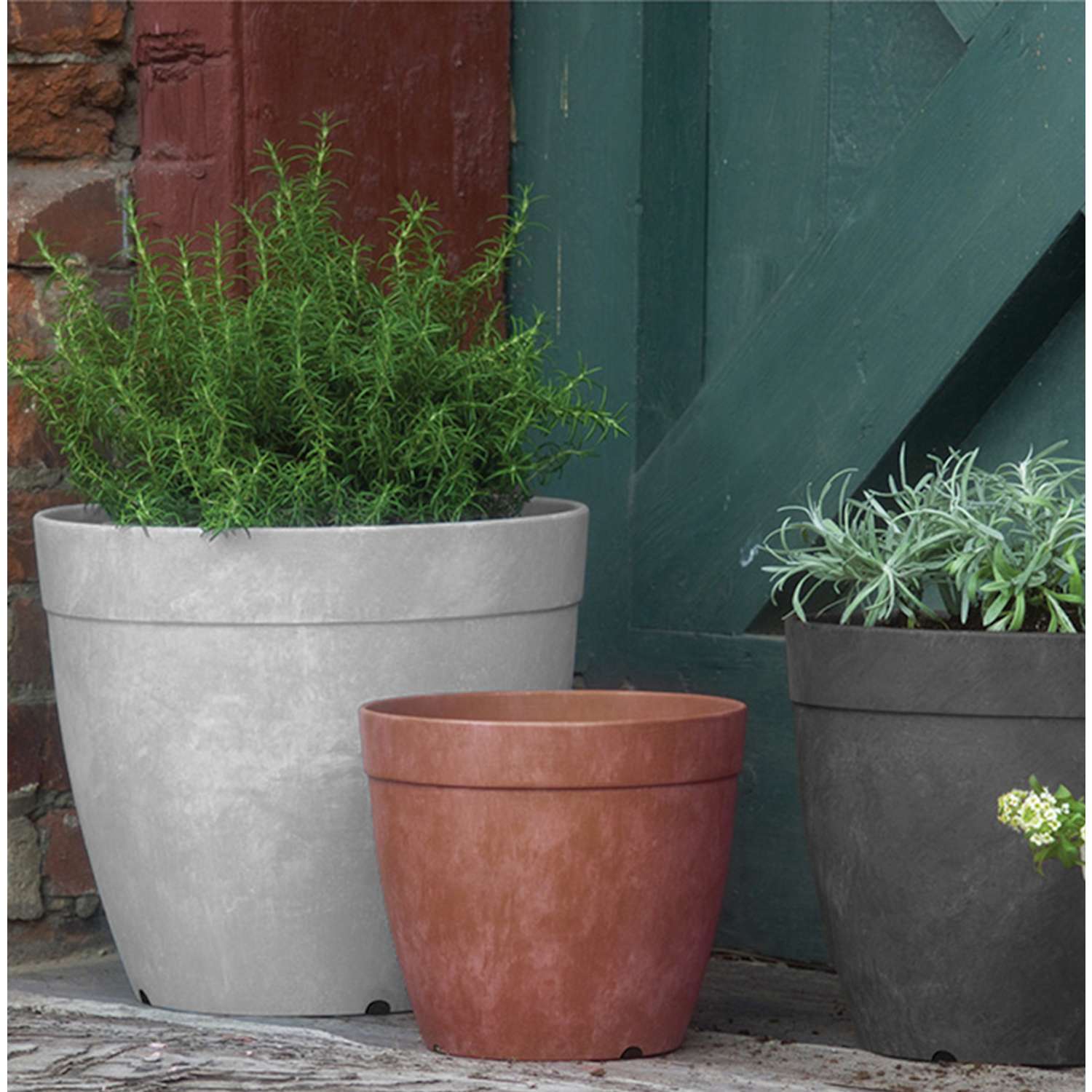  Novelty ArtStone 11.5 In. H X 12.8 In. W X 12.8 In. D X 12.8 In. D Resin Dolce Planter Rust