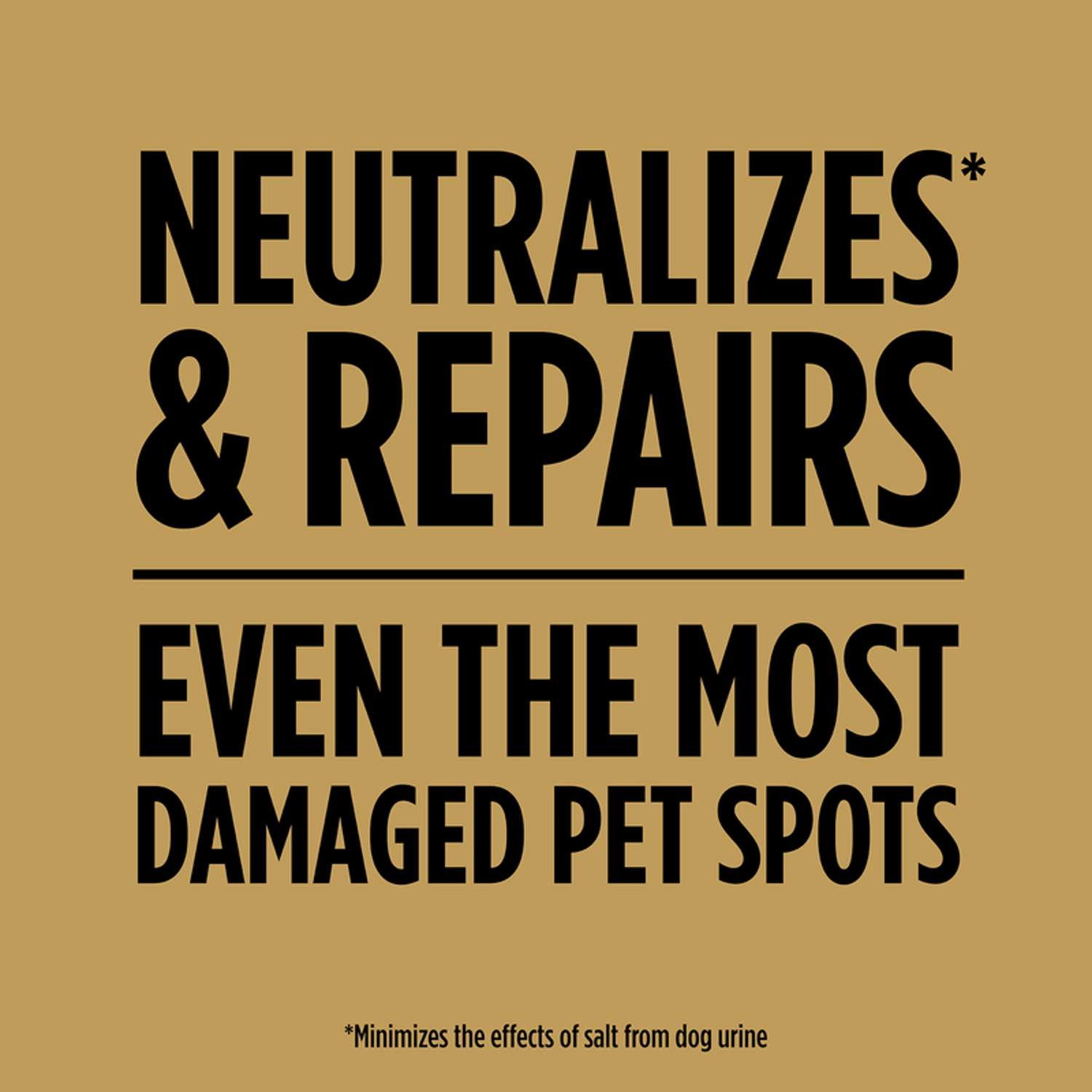  Scotts EZ Seed Mixed Sun Or Shade Pet/Dog Spot Grass Repair Seed 2 Lb